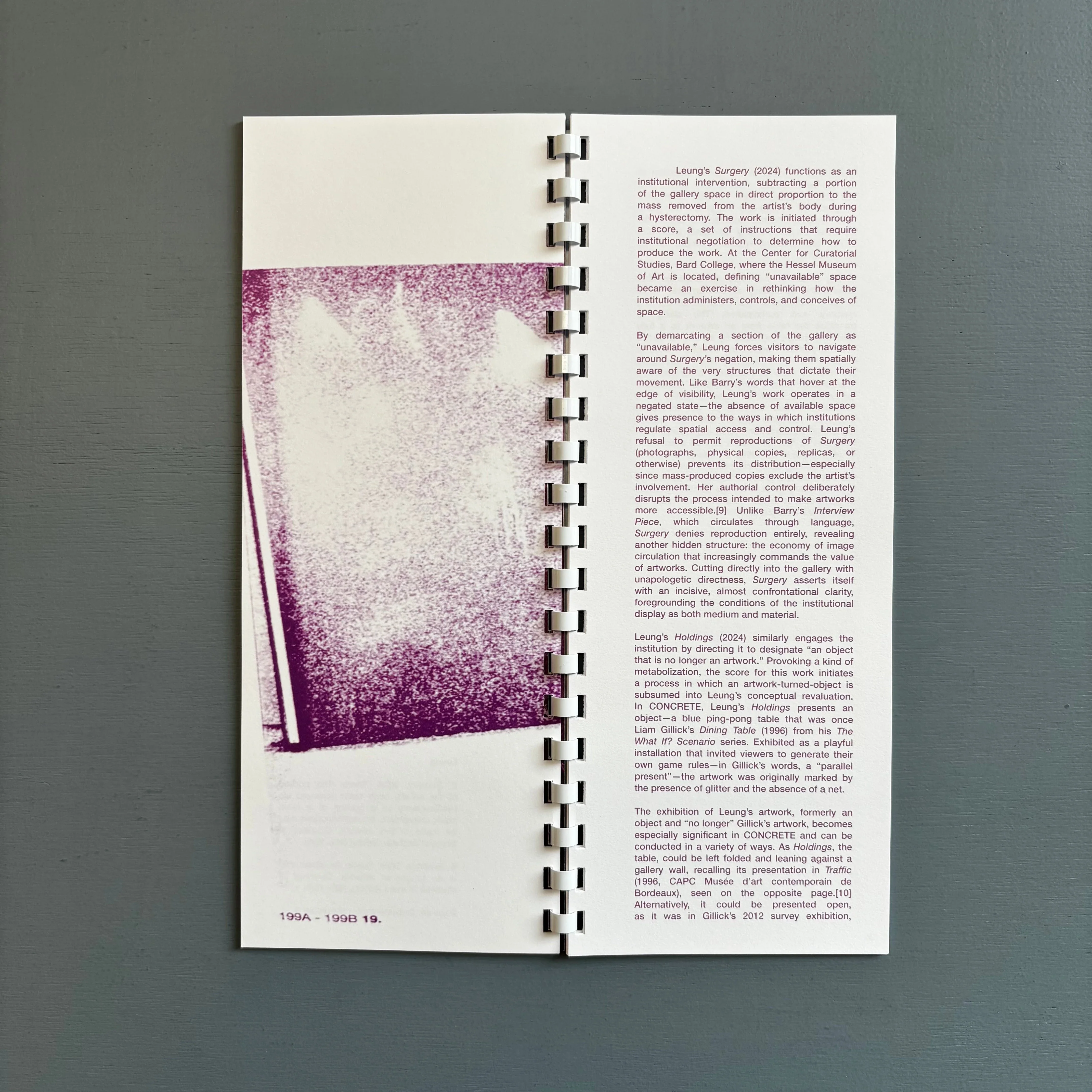 Robert Barry, Jason Hirata, Ghislaine Leung - Actual but not concrete - CCS Bard 2025 - Image 6