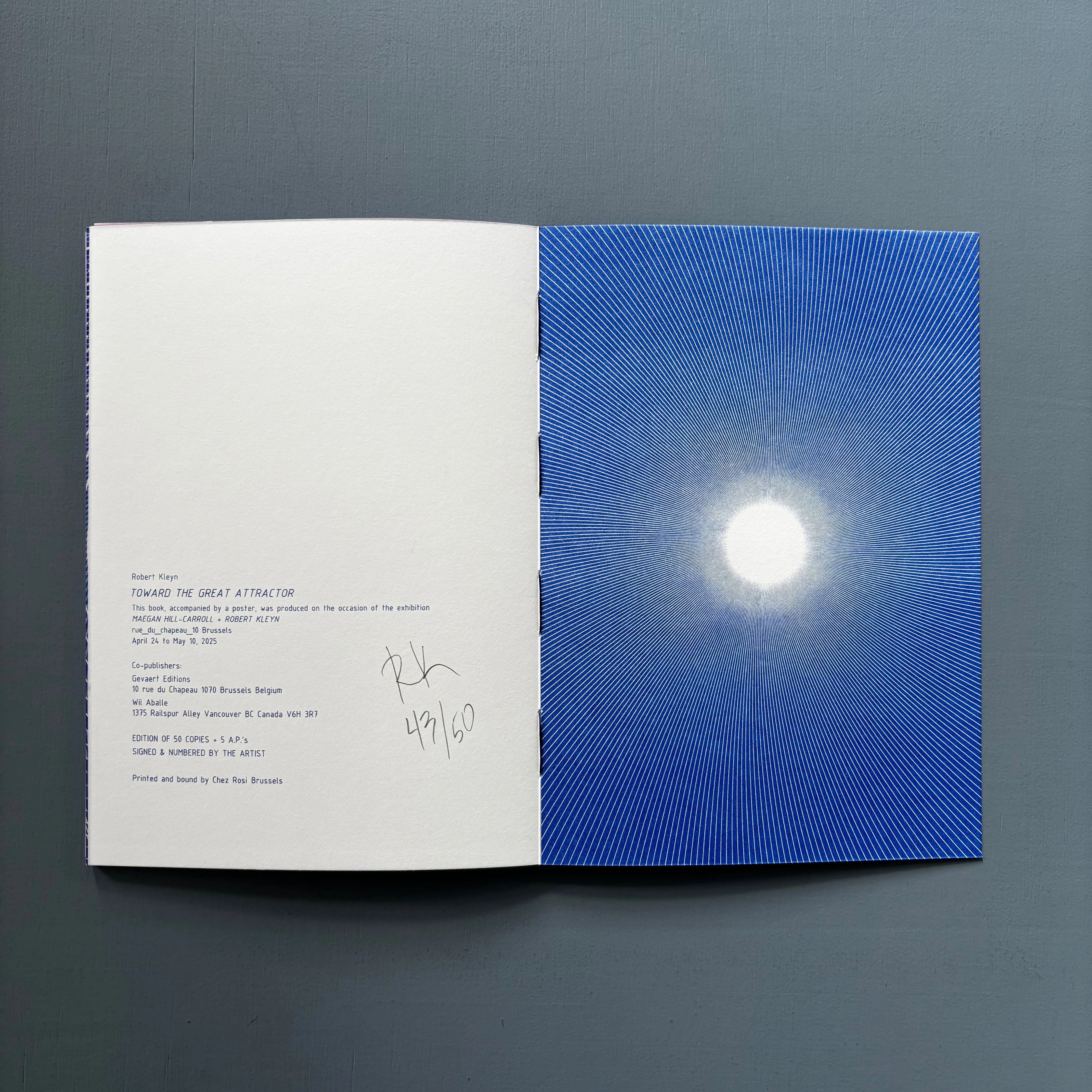 Robert Kleyn - Toward the Great Attractor - Will Aballe/Gevaert Editions 2025 - Image 13