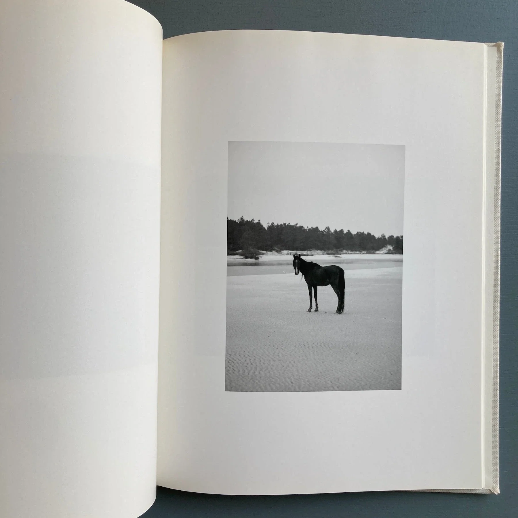 Roe Ethridge - Farewell Horse - Rat Hole Gallery 2009 - Image 6