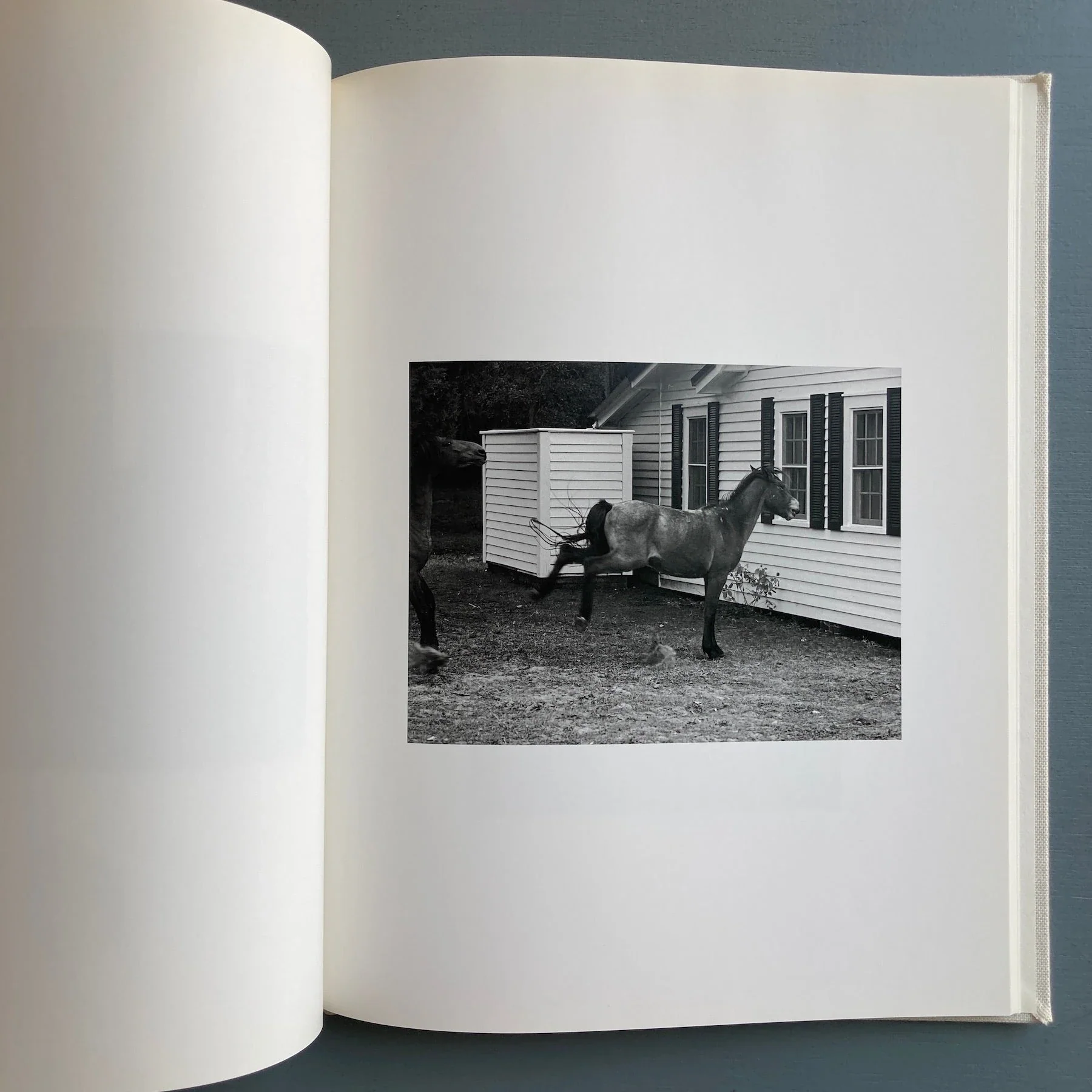 Roe Ethridge - Farewell Horse - Rat Hole Gallery 2009 - Image 8