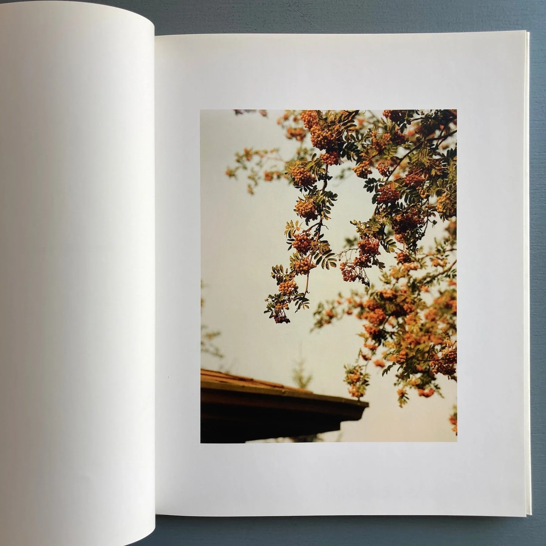 Roe Ethridge - Spare Bedroom - Self-published 2004 - Image 2