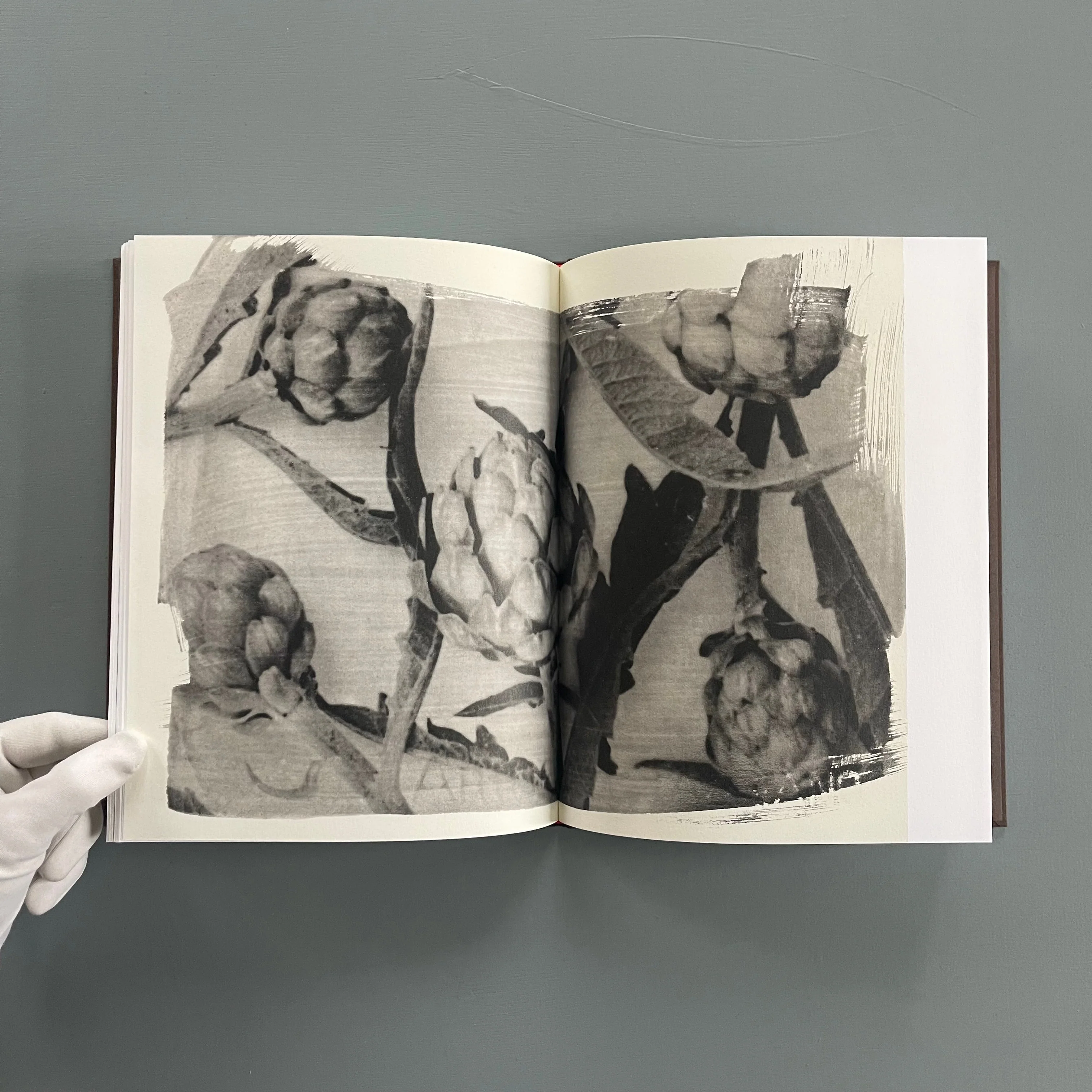 Sachiko Morita - Time in Air, Time in Paper - Cairo Apartment 2022 - Image 10
