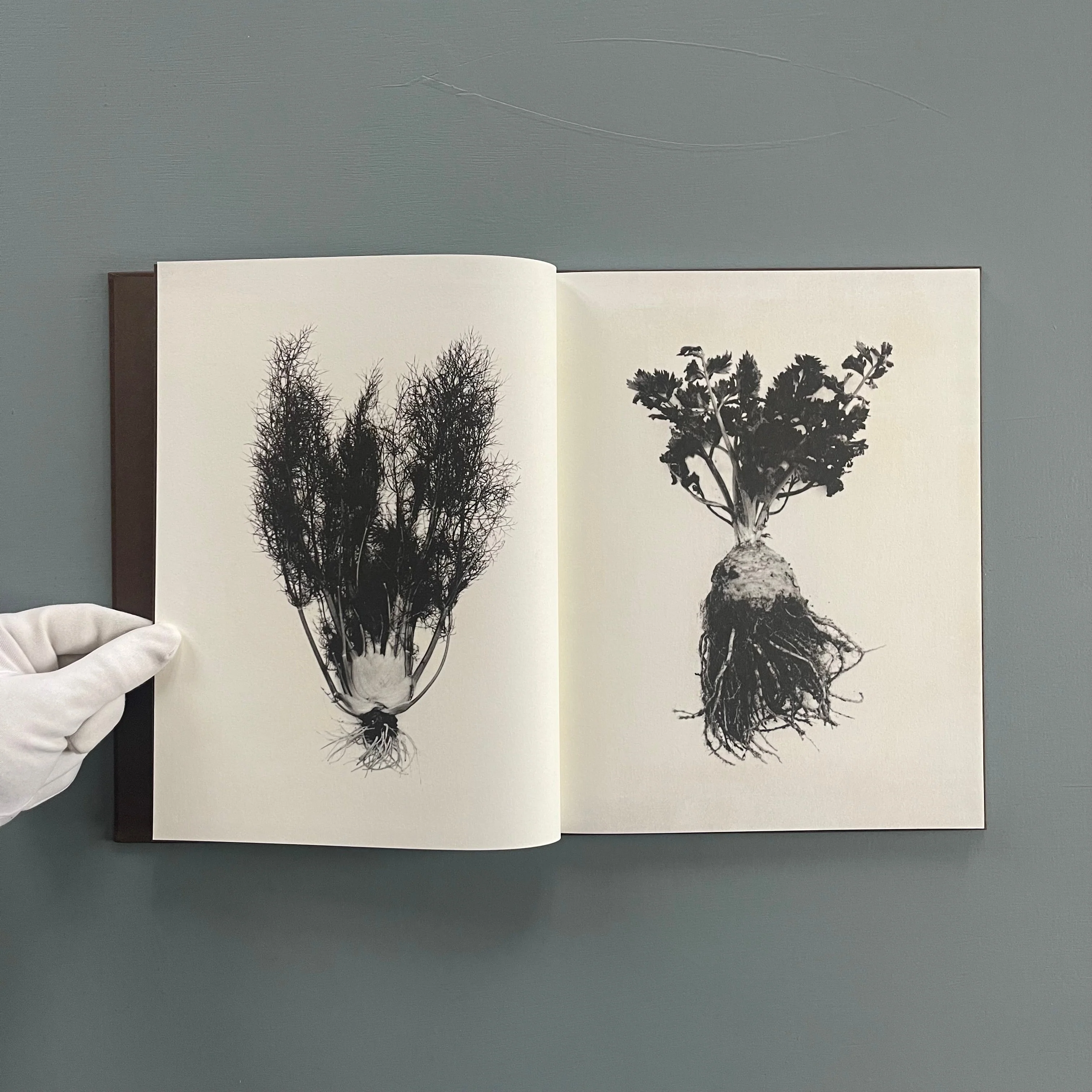 Sachiko Morita - Time in Air, Time in Paper - Cairo Apartment 2022 - Image 3