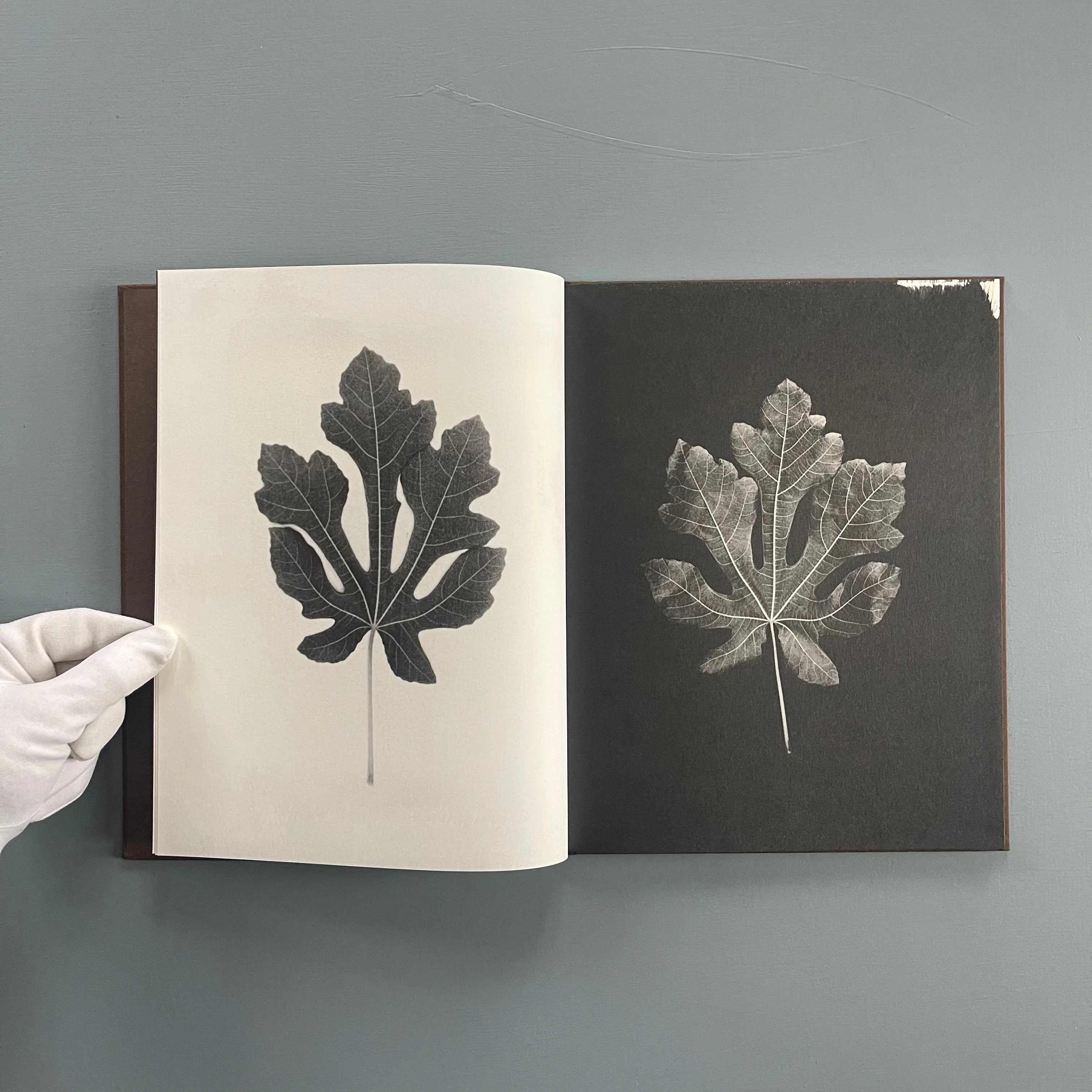 Sachiko Morita - Time in Air, Time in Paper - Cairo Apartment 2022 - Image 4