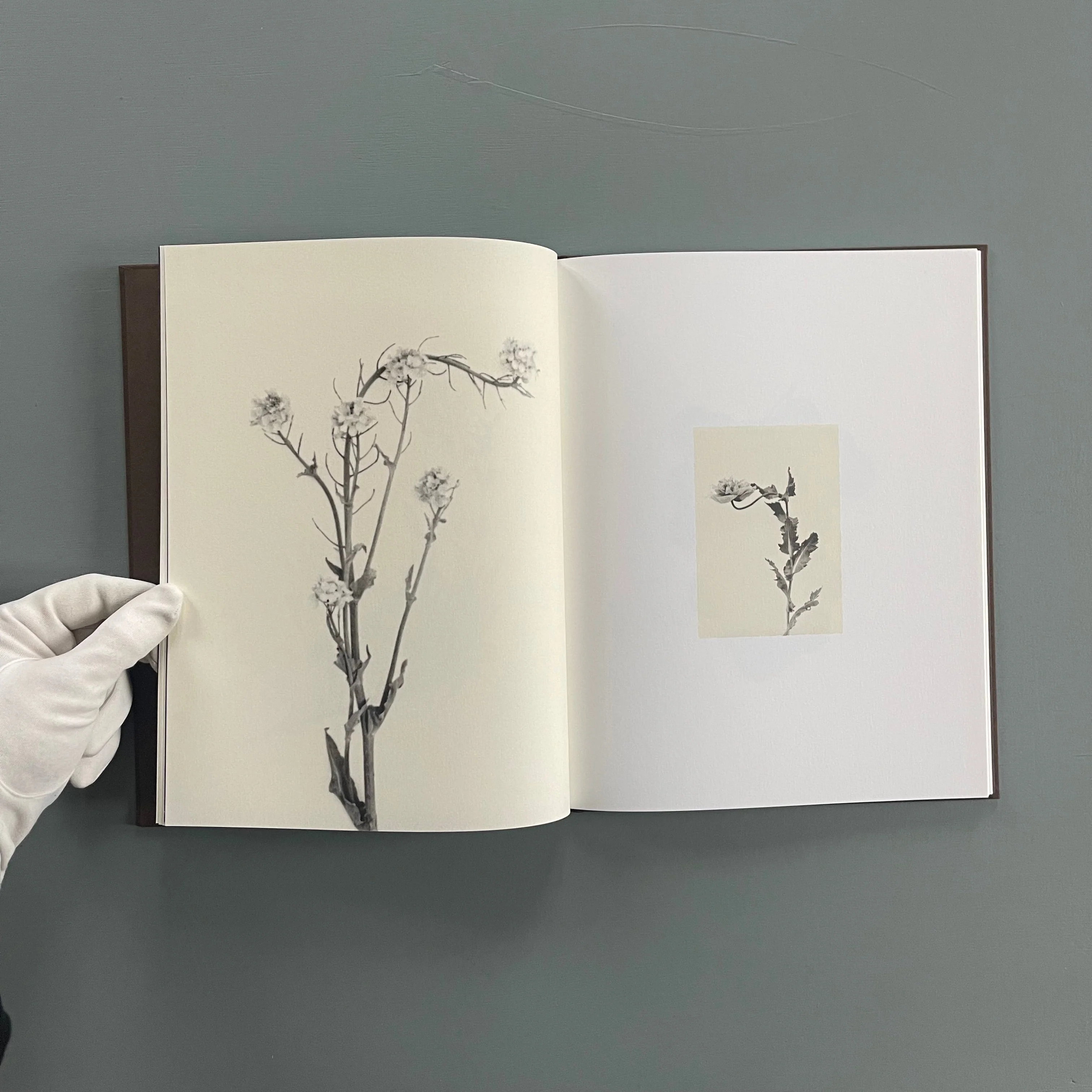 Sachiko Morita - Time in Air, Time in Paper - Cairo Apartment 2022 - Image 5