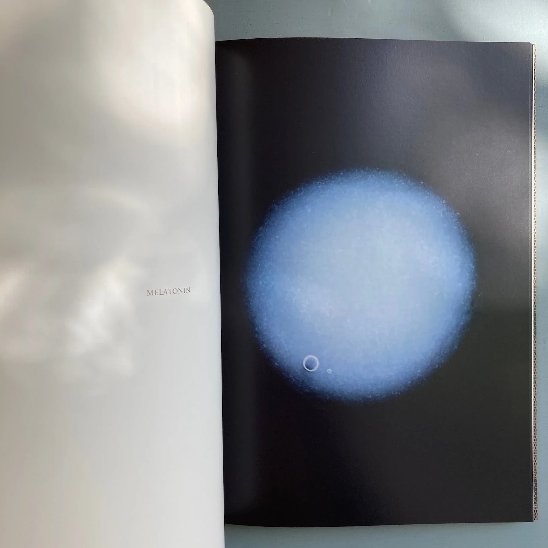 Sarah Schönfeld - All You Can Feel - Kerber 2013 - Image 10