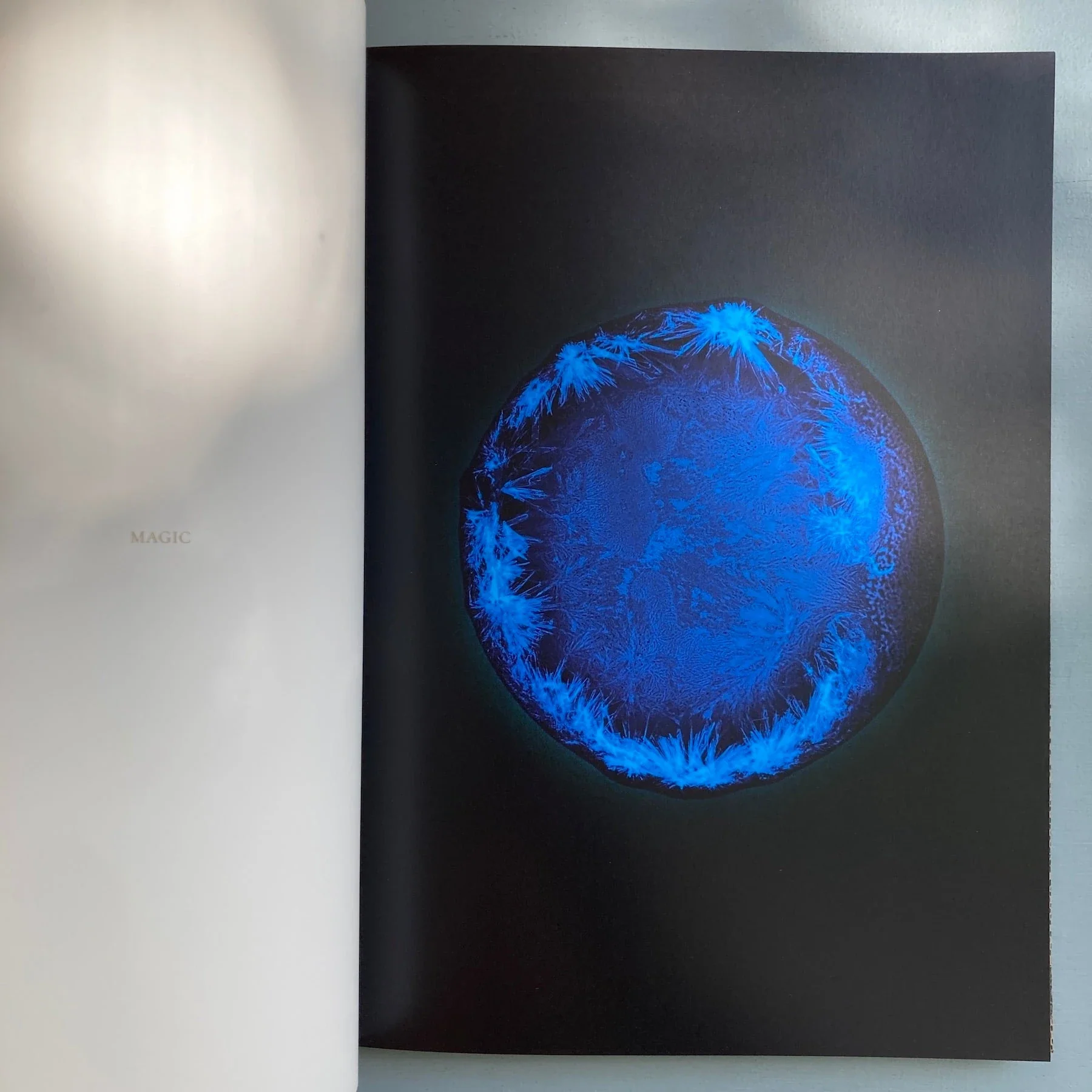 Sarah Schönfeld - All You Can Feel - Kerber 2013 - Image 2