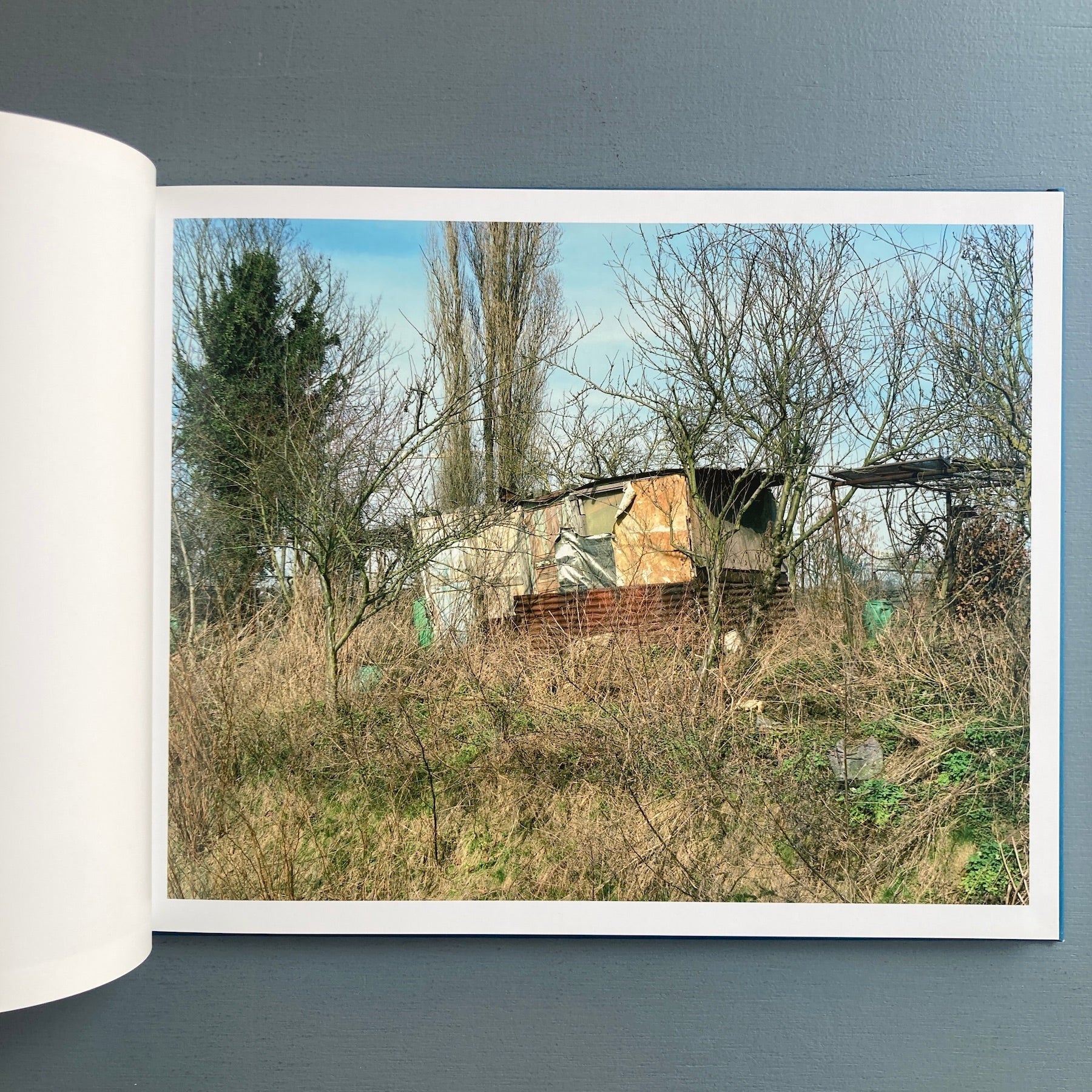 Satoru Toma - Ask the cat - Le caillou bleu 2011 - Image 3
