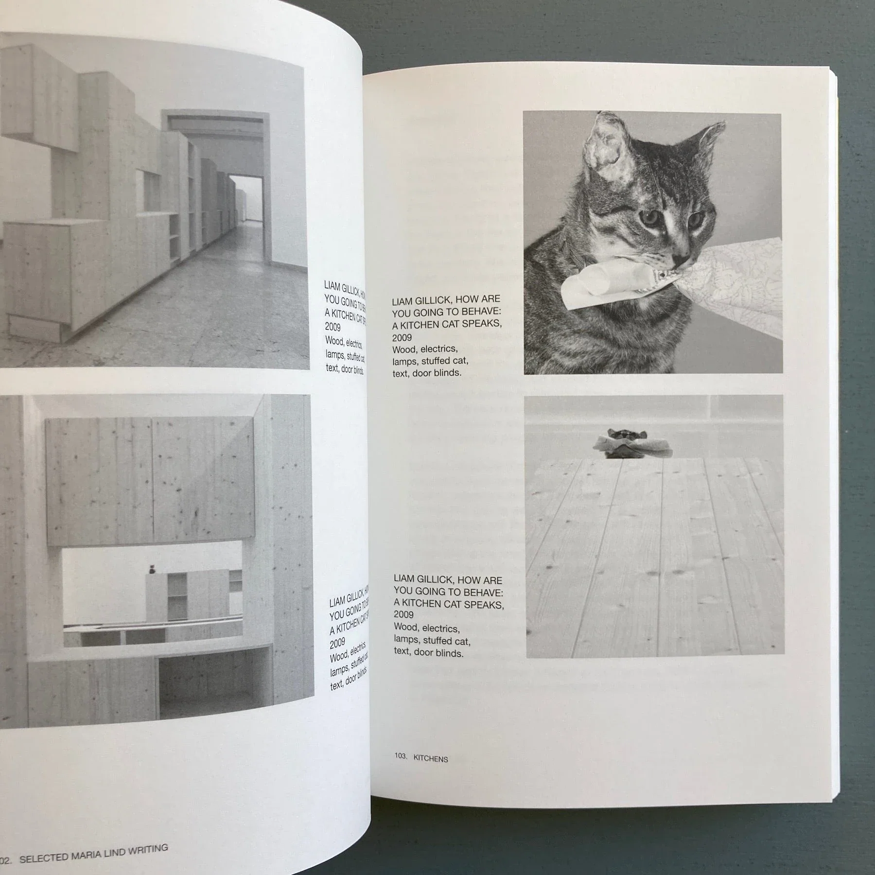 Selected Maria Lind Writing - Sternberg Press 2010 - Image 2