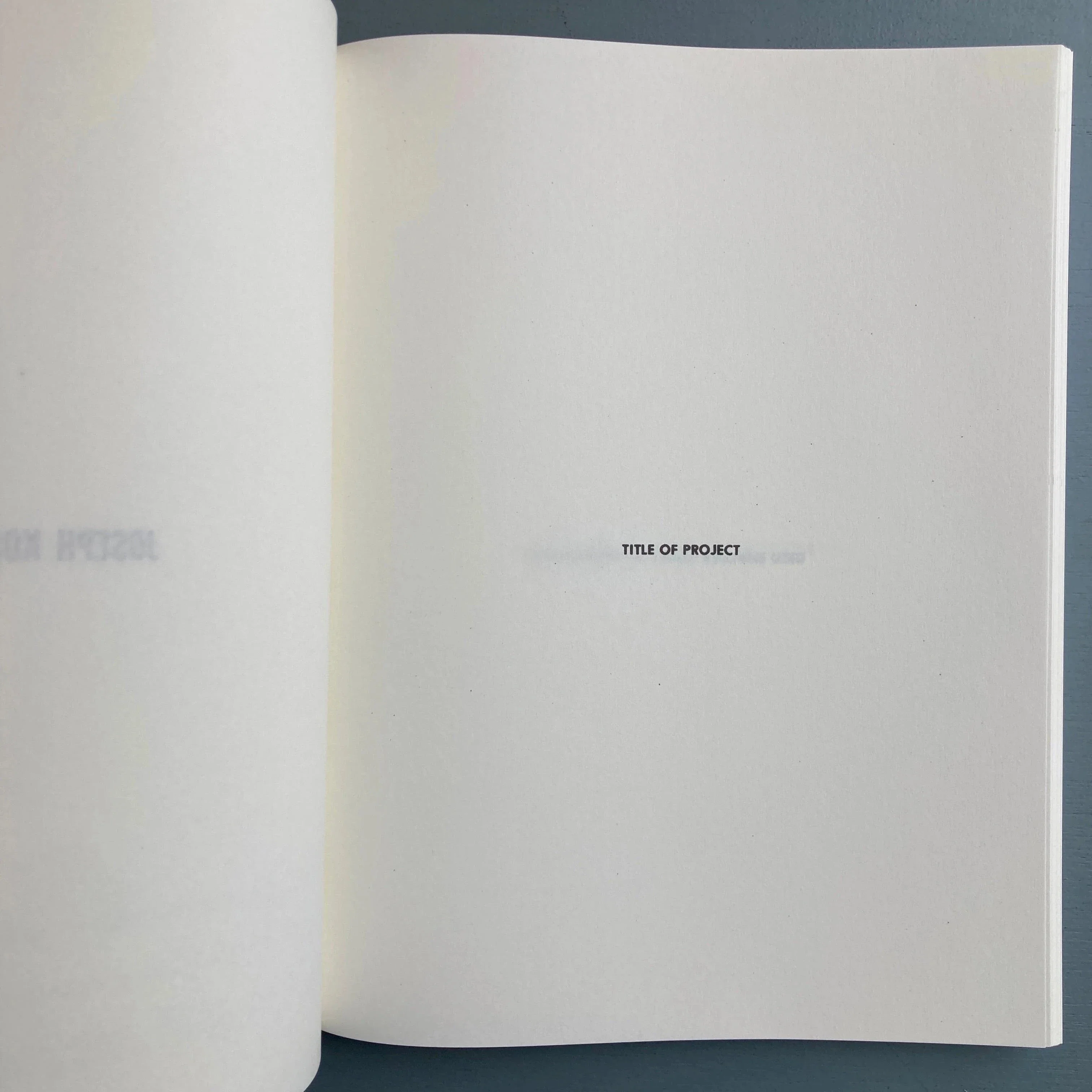 Seth Siegelaub & John W. Wendler - The Xerox Book - Roma Publications 2015 - Image 6