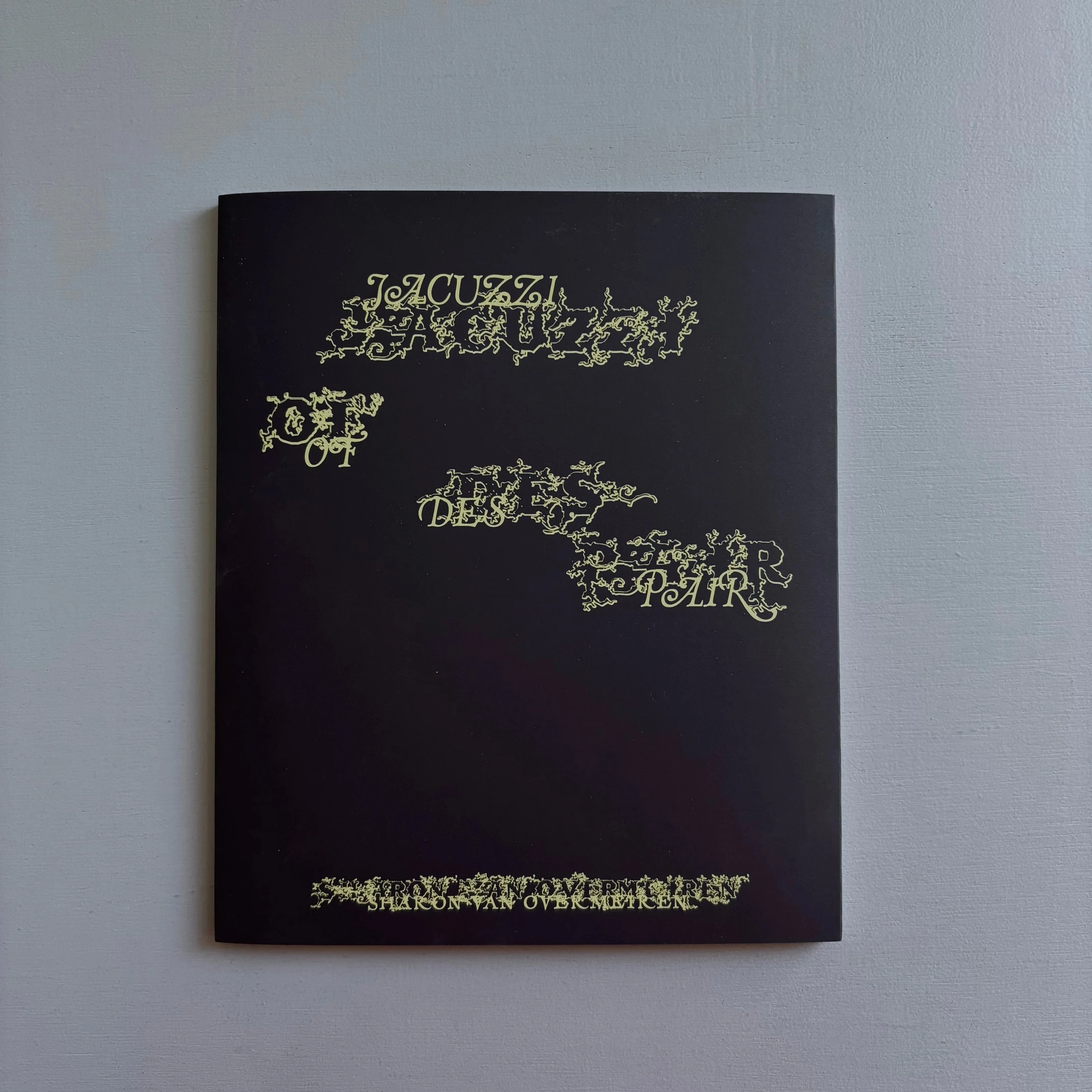 Sharon Van Overmeiren - Jacuzzi of Despair - Zolo Press 2025