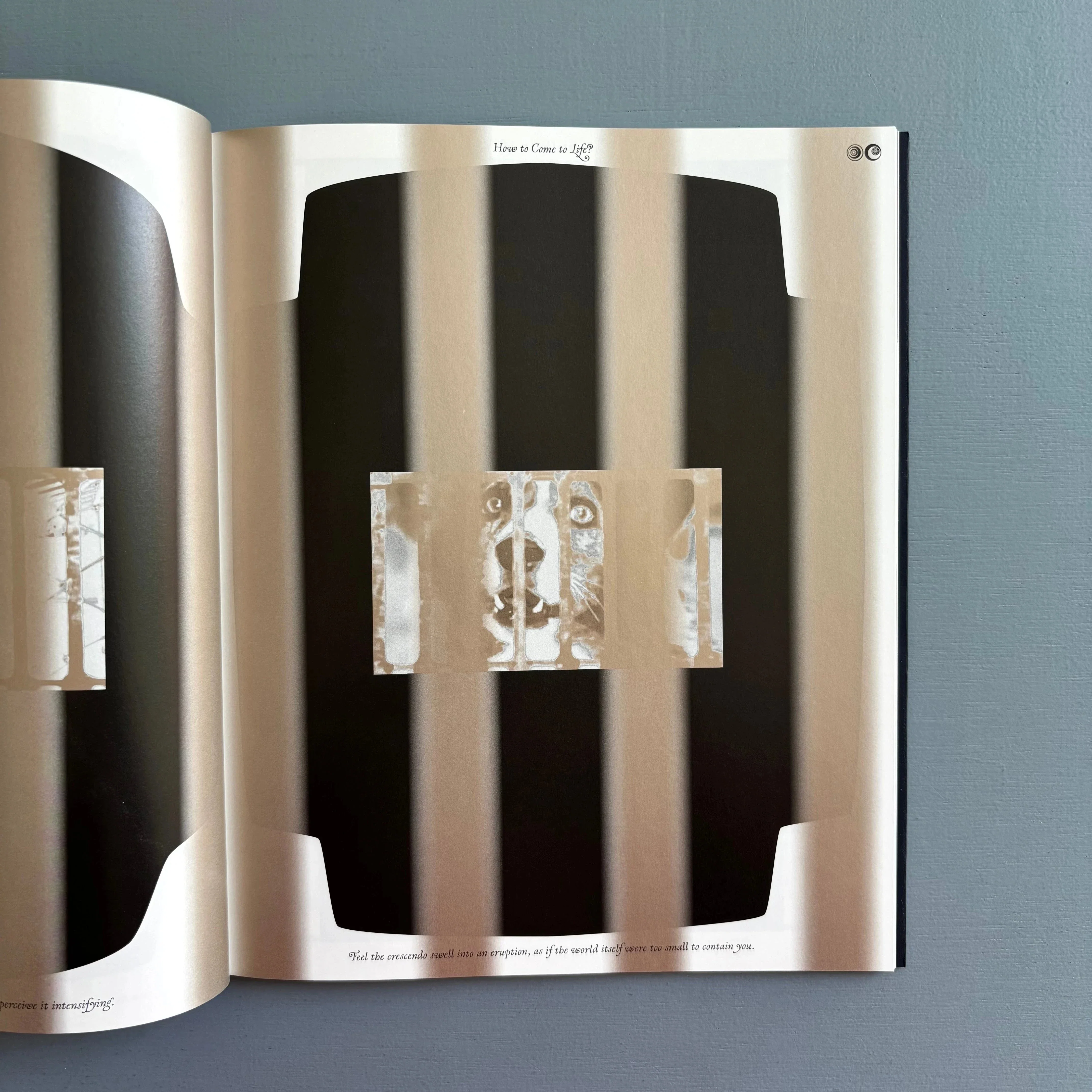 Sharon Van Overmeiren - Jacuzzi of Despair - Zolo Press 2025 - Image 6