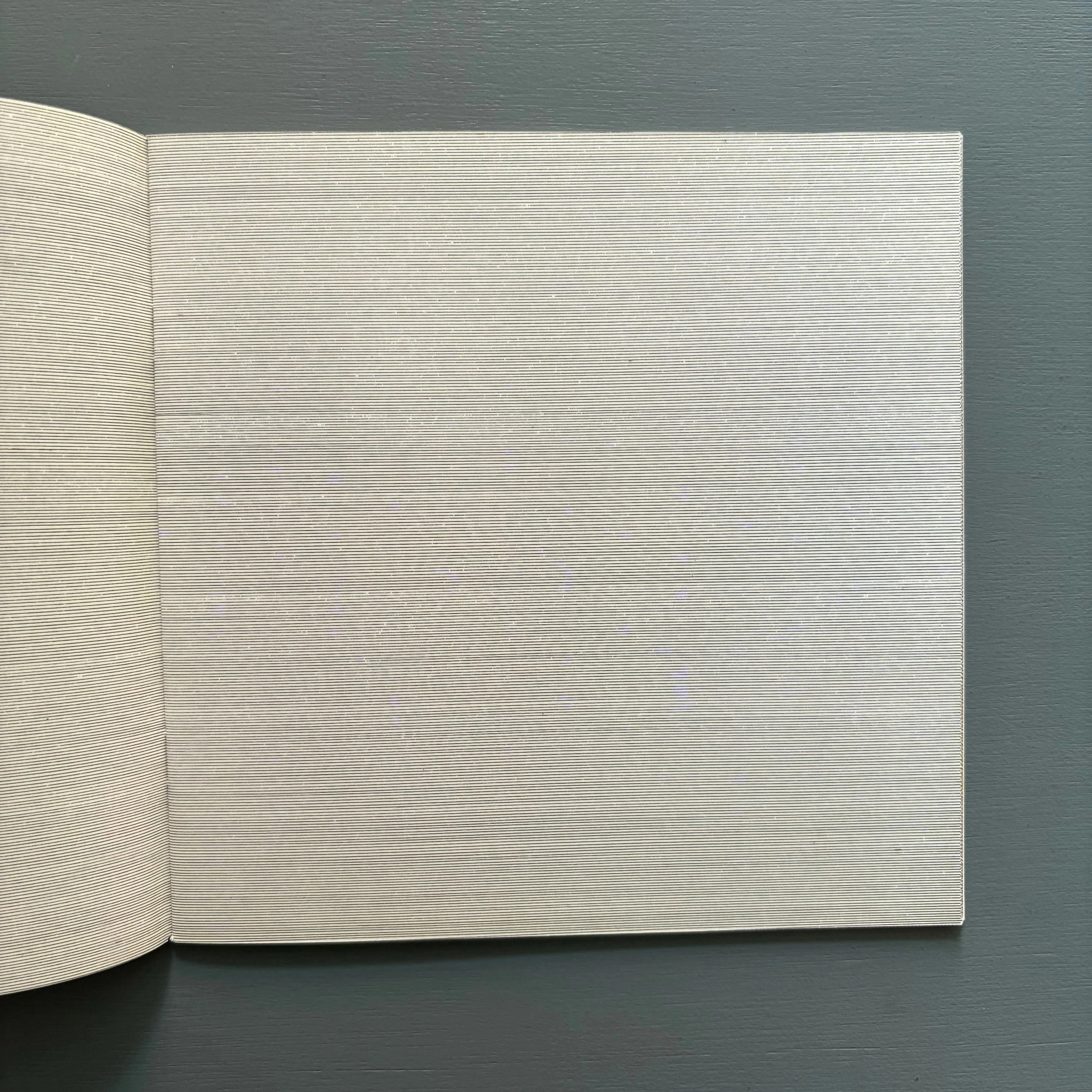 Sol LeWitt - Four Basic Kinds of Lines & Colour - Lisson Gallery 1977 - Image 4
