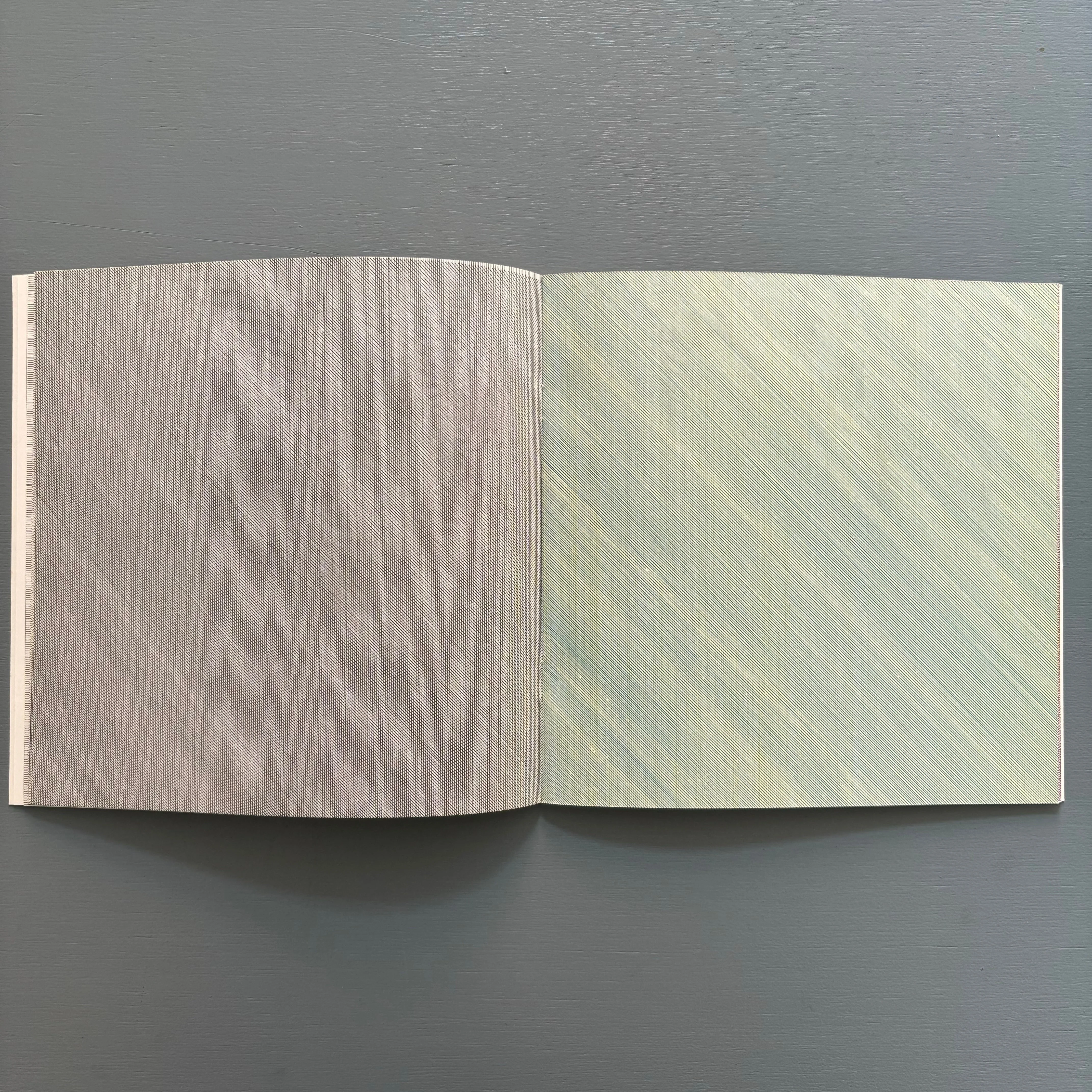 Sol LeWitt - Four Basic Kinds of Lines & Colour - Lisson Gallery 1977 - Image 6