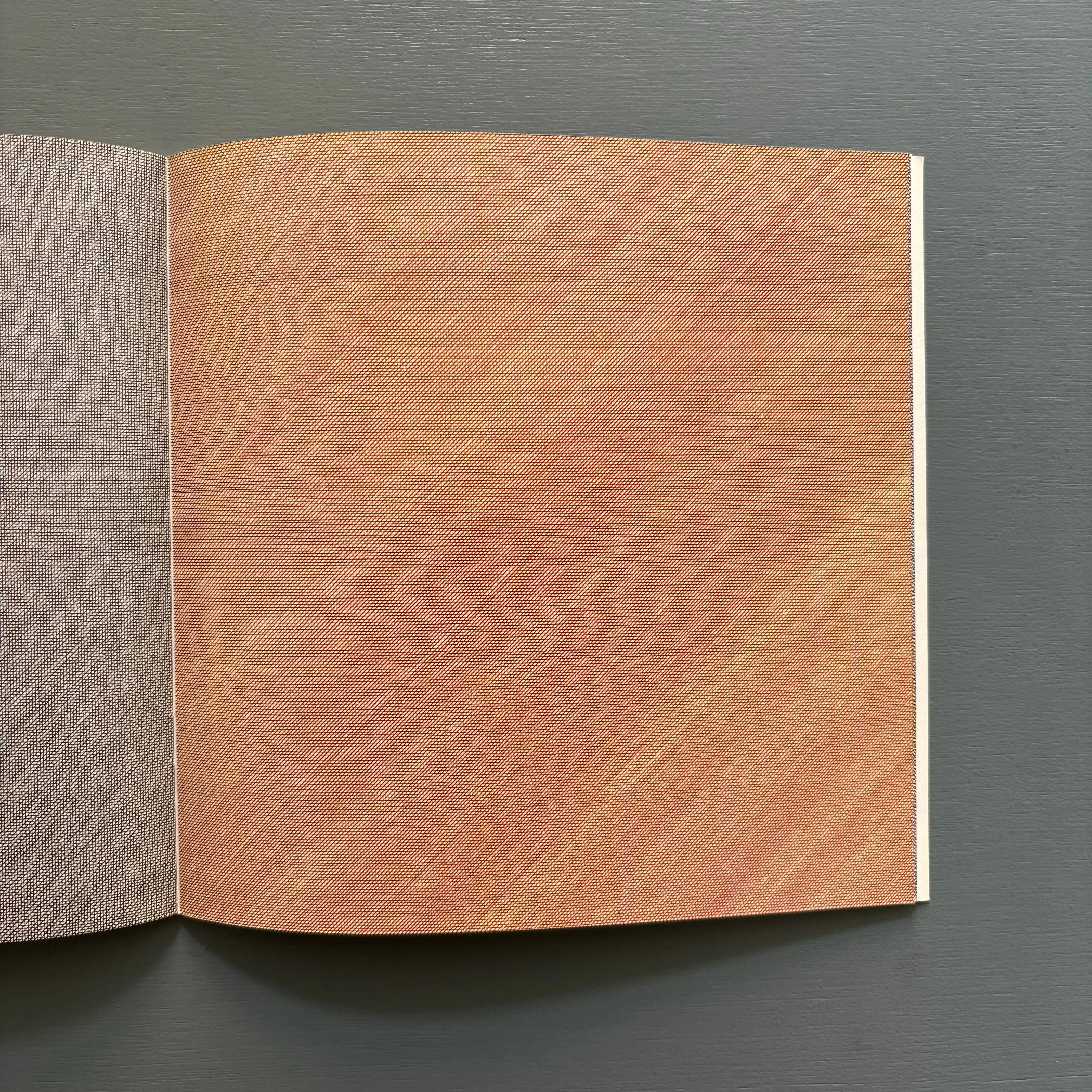 Sol LeWitt - Four Basic Kinds of Lines & Colour - Lisson Gallery 1977 - Image 8