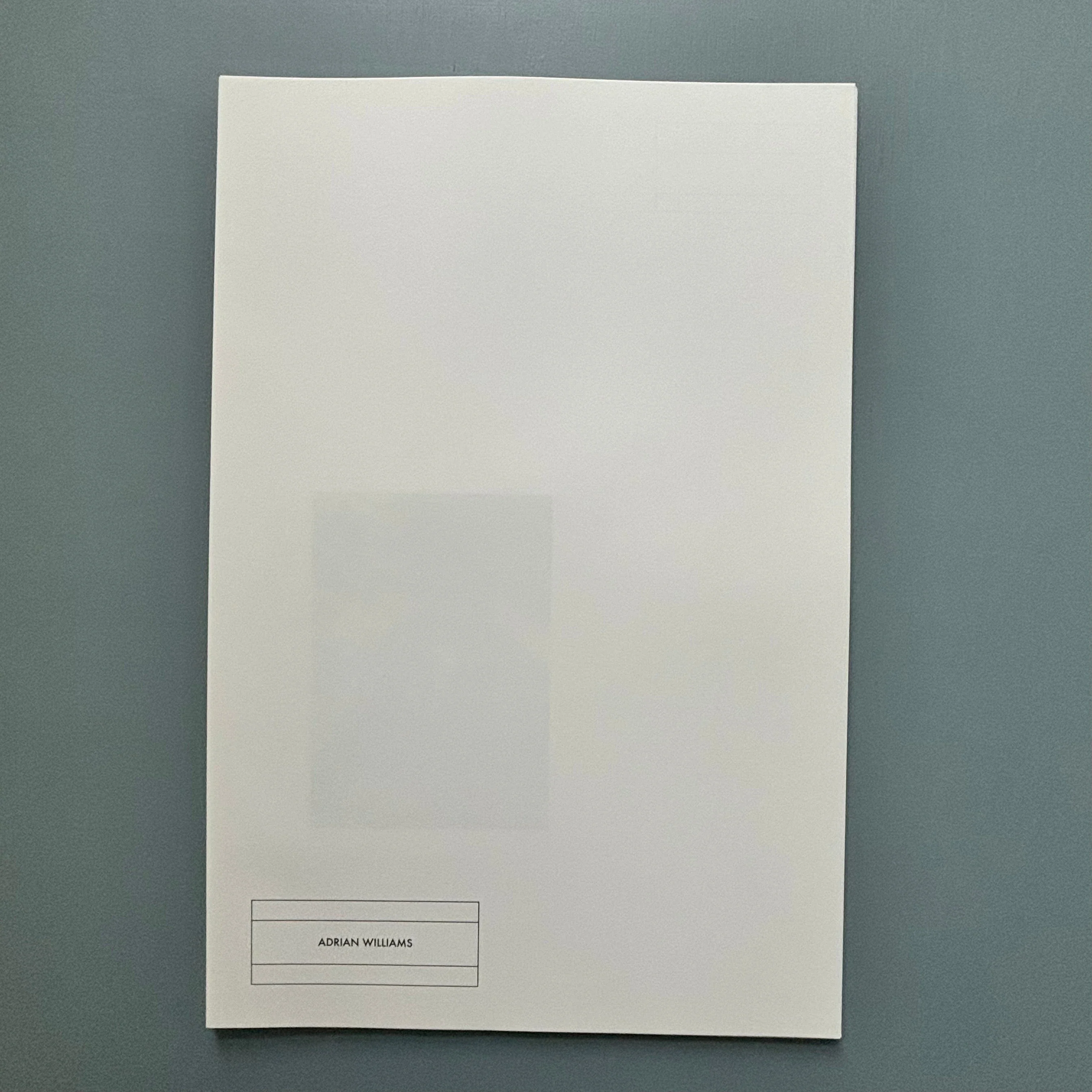 Starta by Dana Munro (signed) - Strata Edition 2013 - Image 10