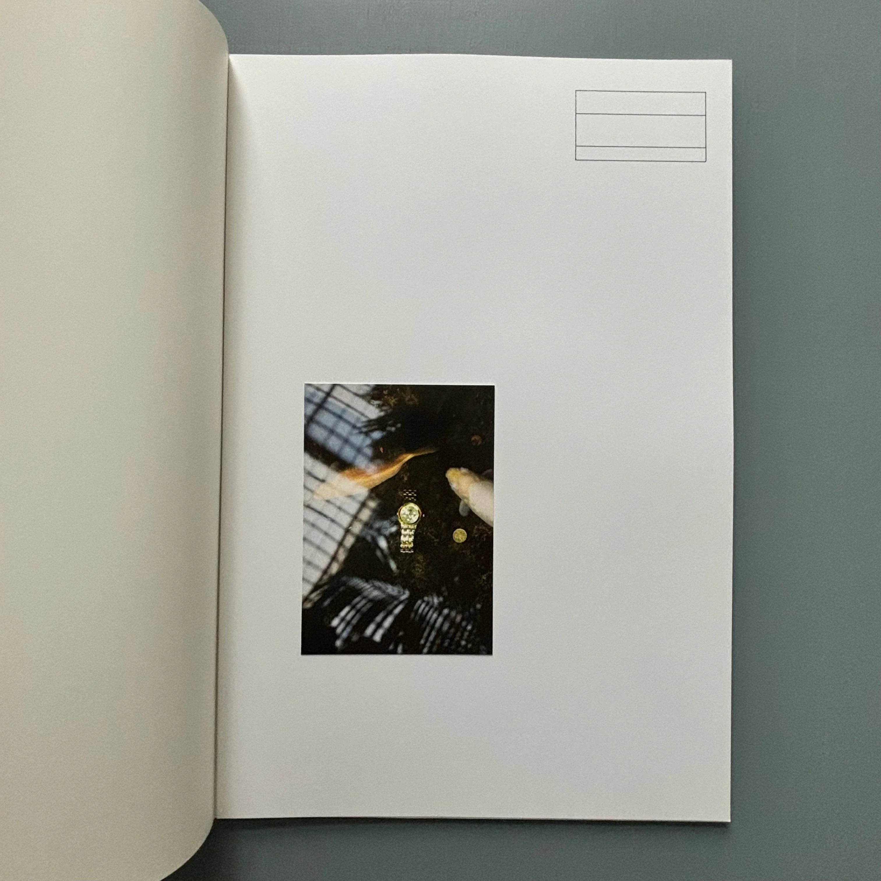 Starta by Dana Munro (signed) - Strata Edition 2013 - Image 11