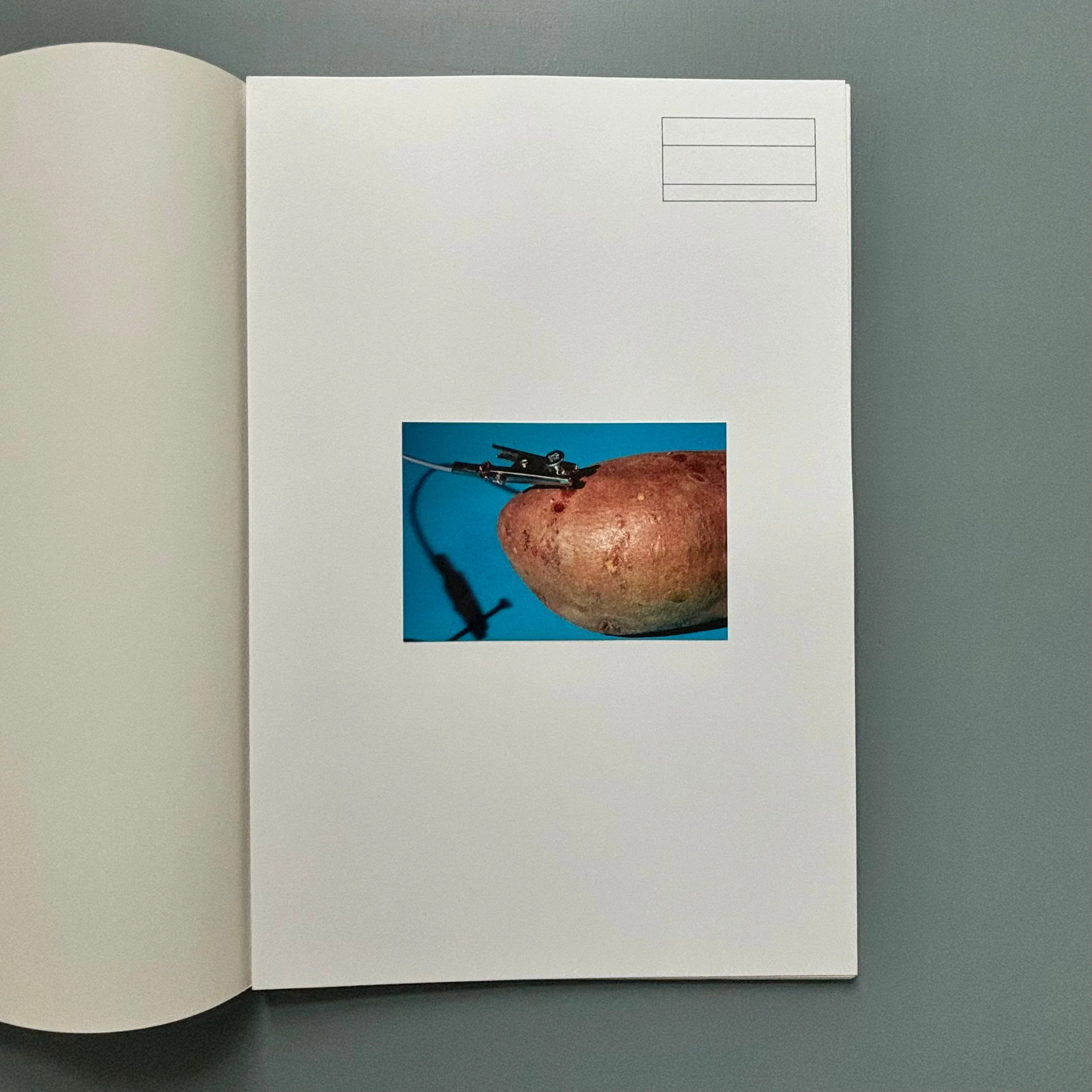 Starta by Dana Munro (signed) - Strata Edition 2013 - Image 13