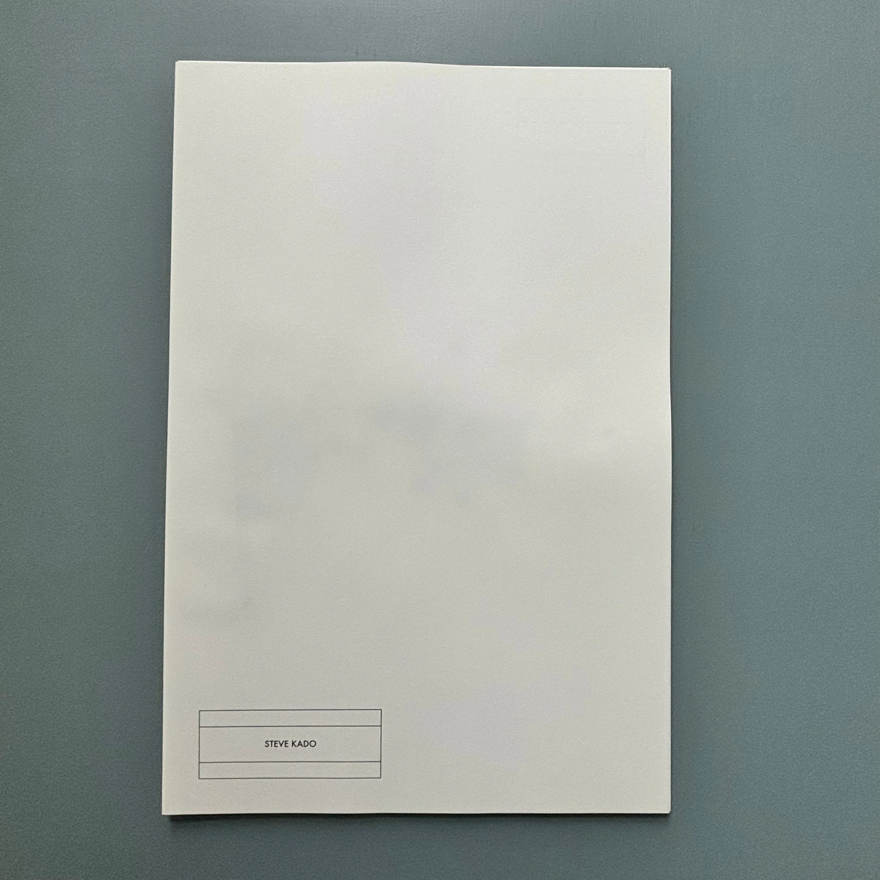 Starta by Dana Munro (signed) - Strata Edition 2013 - Image 14