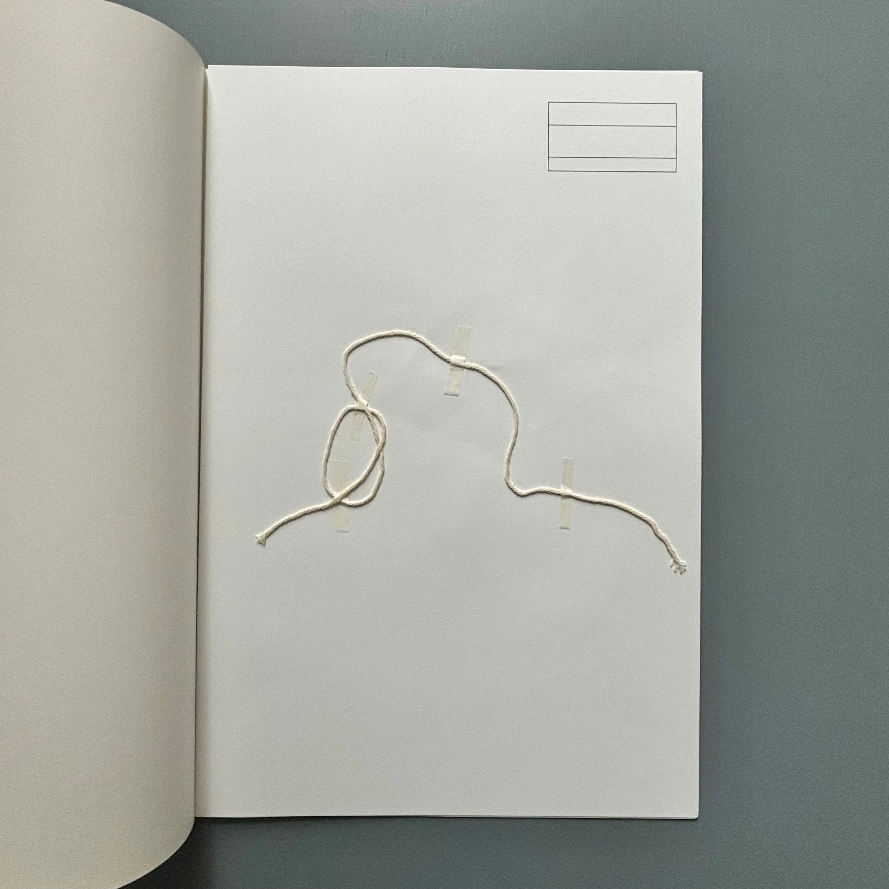 Starta by Dana Munro (signed) - Strata Edition 2013 - Image 21