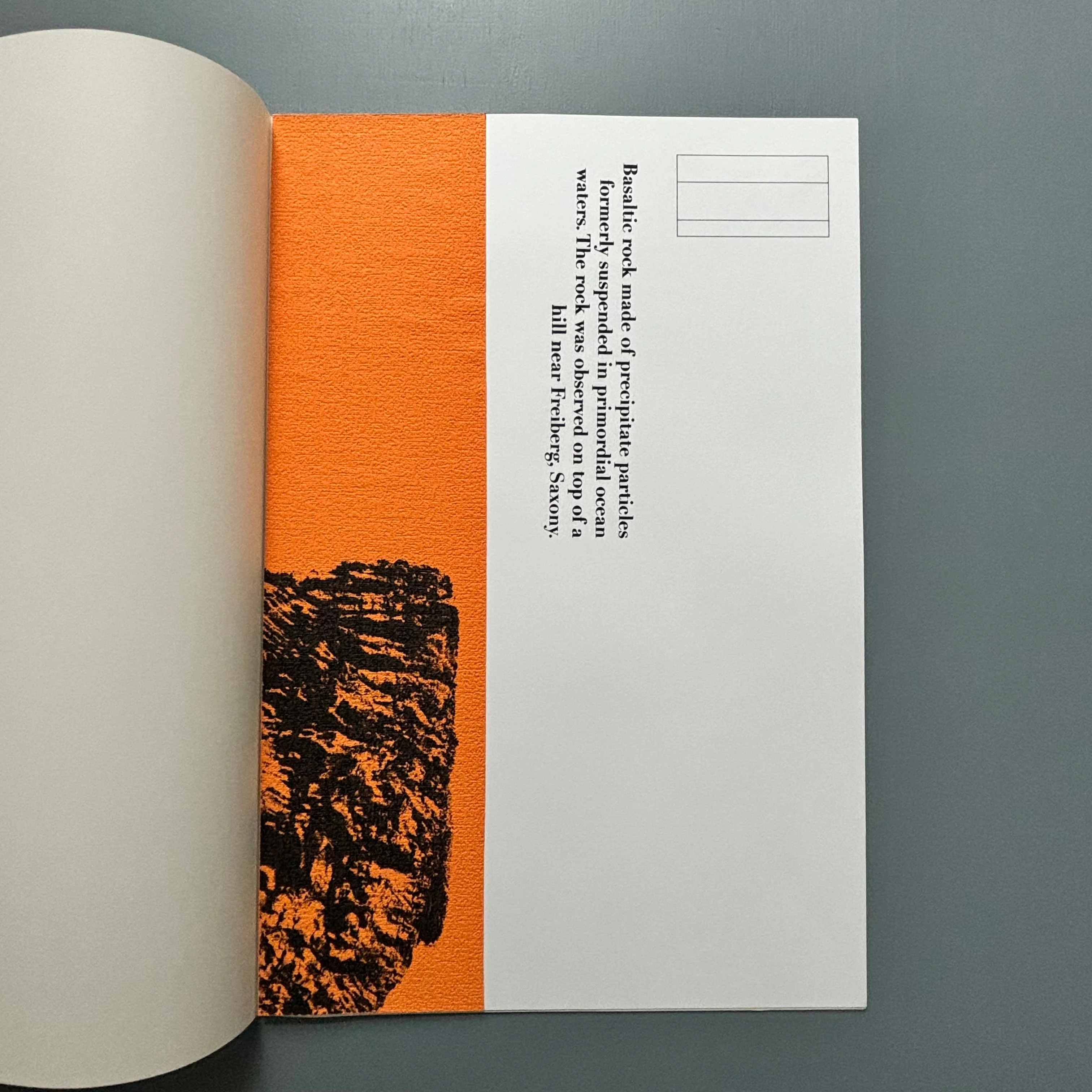 Starta by Dana Munro (signed) - Strata Edition 2013 - Image 23