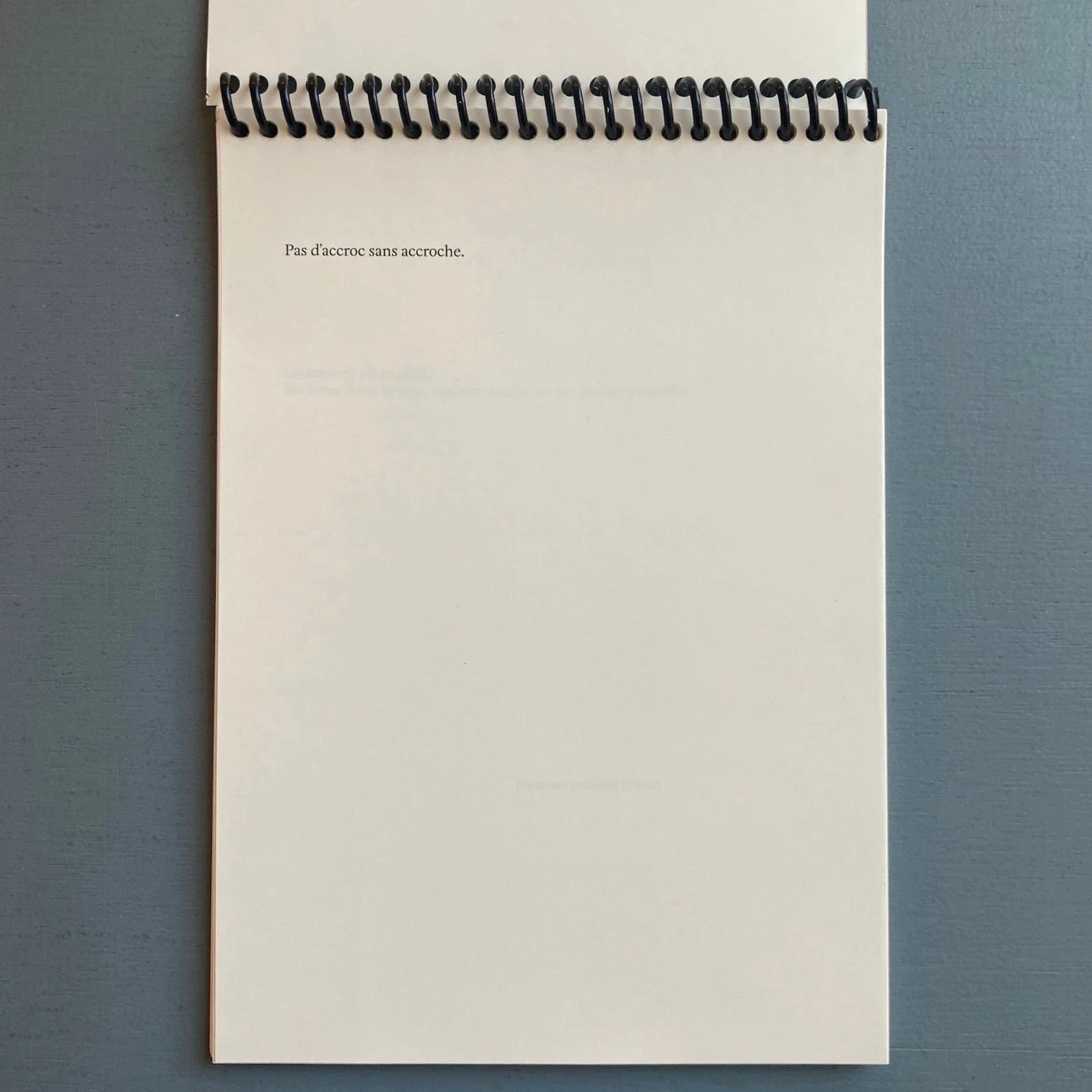 Suzie Crespin Thirode (signed) - Baise en ville - Self-published 2023 - Image 2