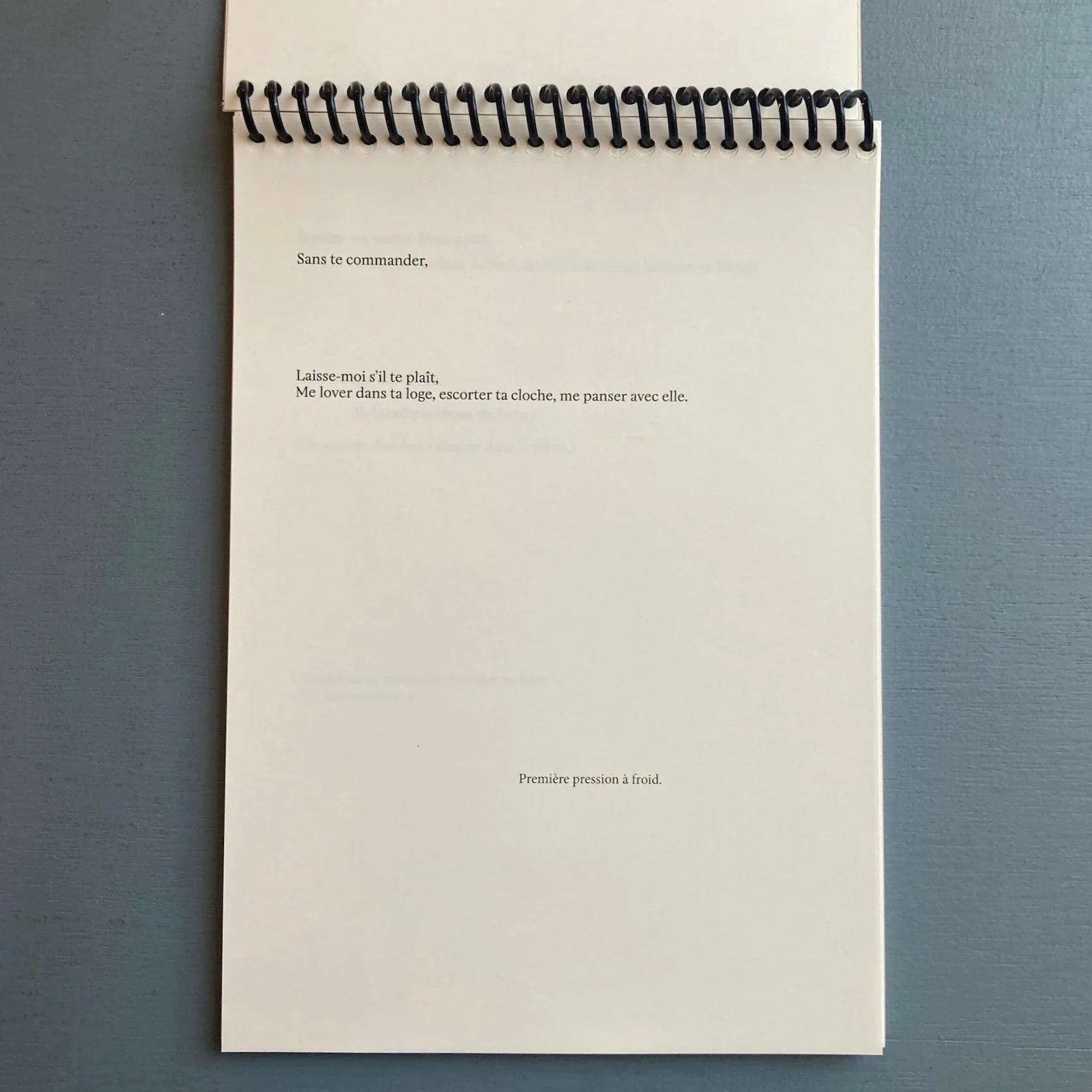 Suzie Crespin Thirode (signed) - Baise en ville - Self-published 2023 - Image 3