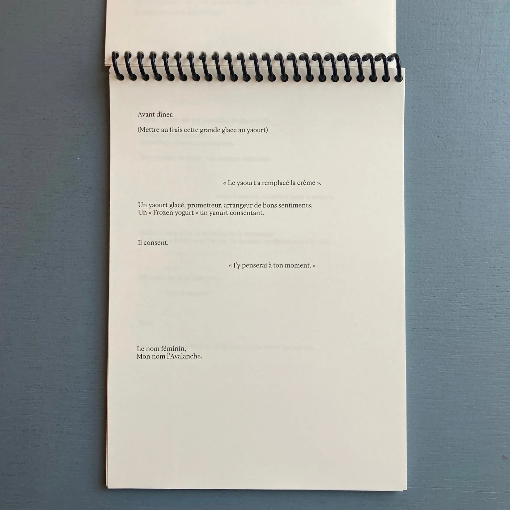 Suzie Crespin Thirode (signed) - Baise en ville - Self-published 2023 - Image 4