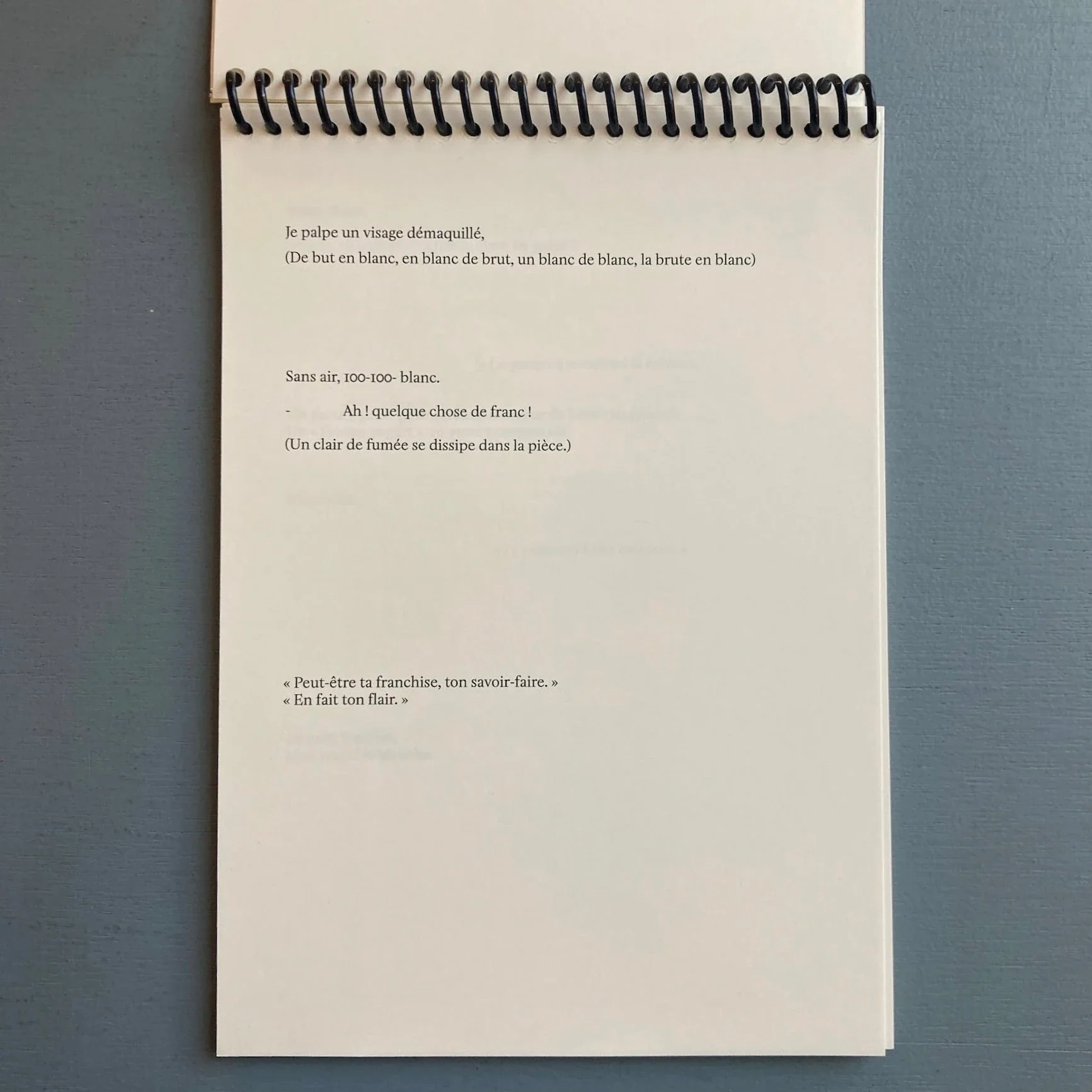 Suzie Crespin Thirode (signed) - Baise en ville - Self-published 2023 - Image 5