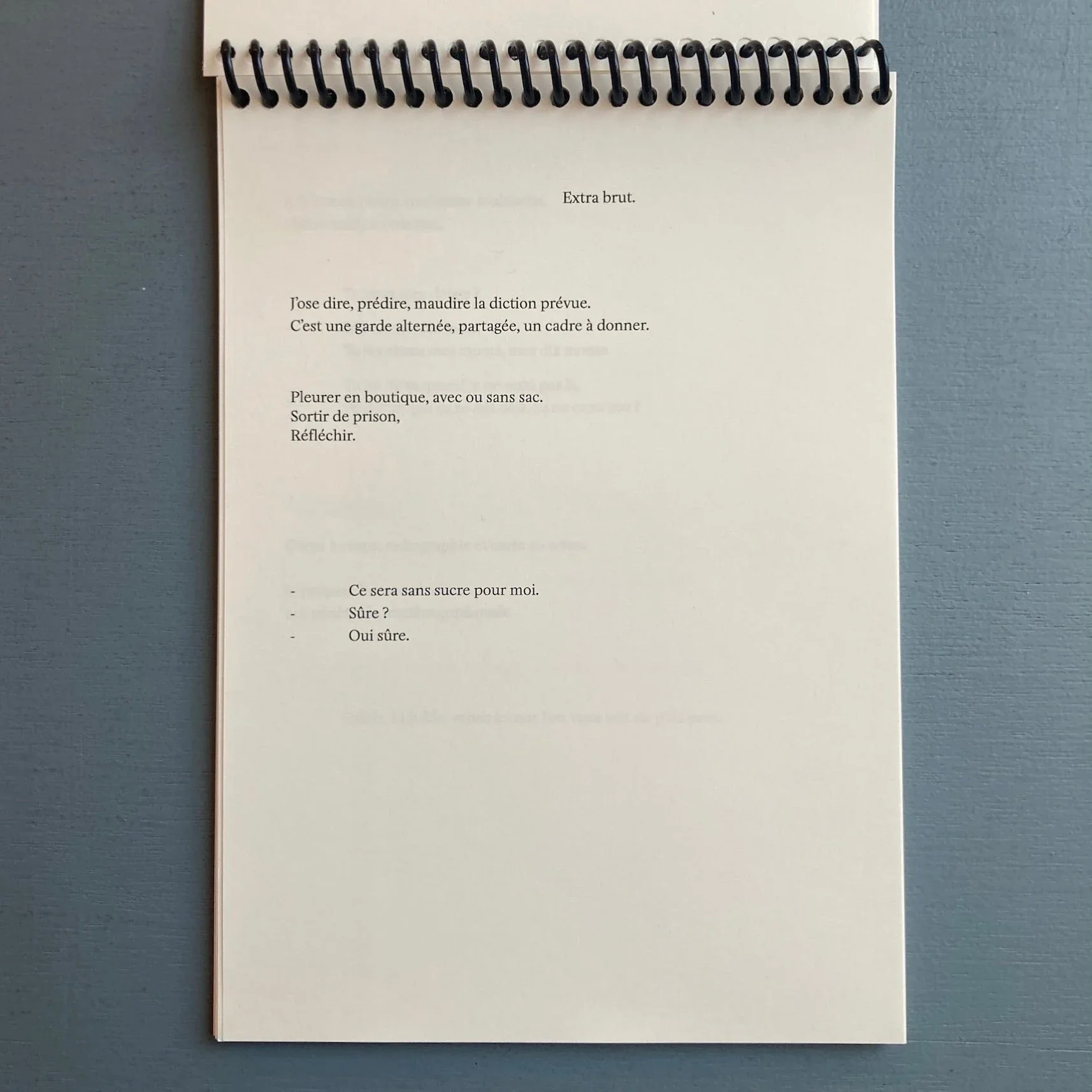 Suzie Crespin Thirode (signed) - Baise en ville - Self-published 2023 - Image 9