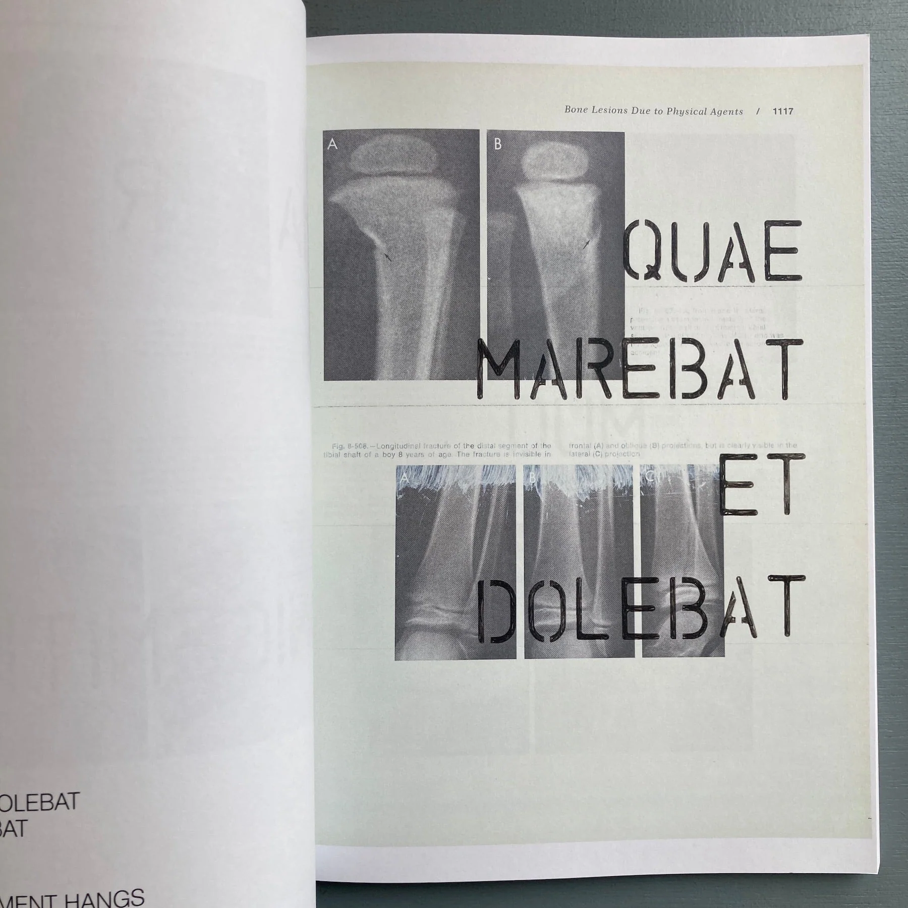 Sybren Renema (signed) - Stabat Mater Dolorosa - Self-published 2016 - Image 4
