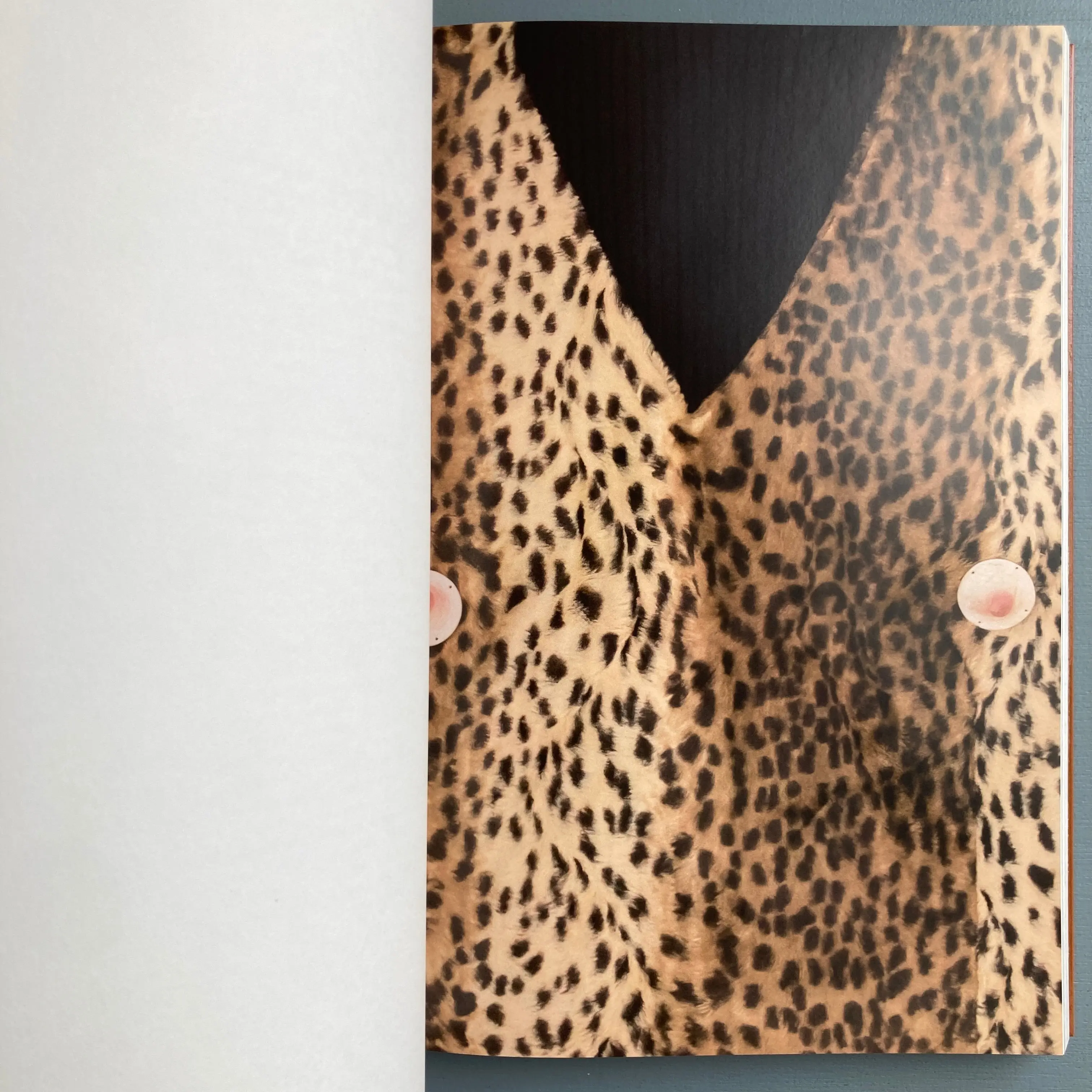 The Animal Within - Exhibition catalogue - mumok 2022 - Image 2
