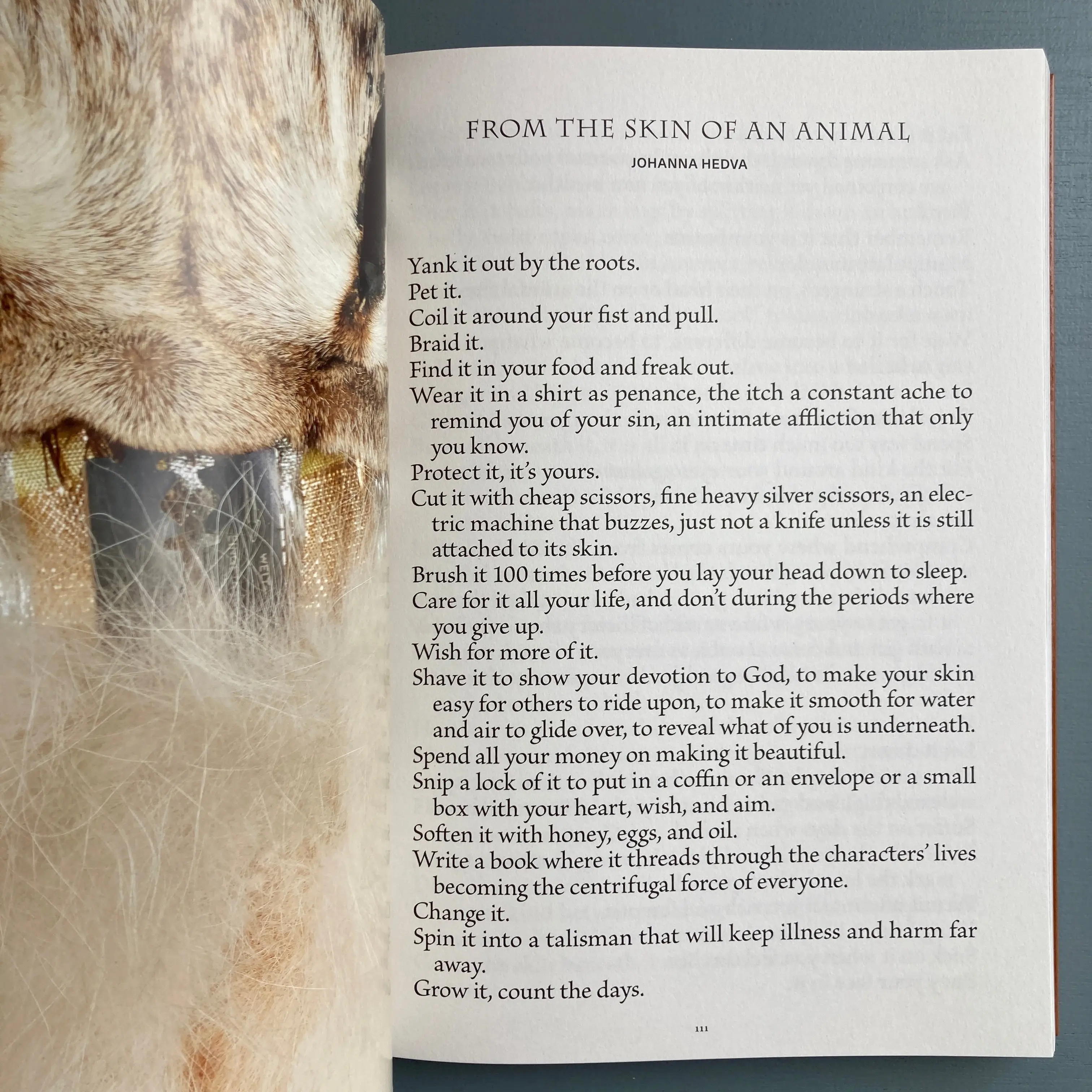 The Animal Within - Exhibition catalogue - mumok 2022 - Image 5
