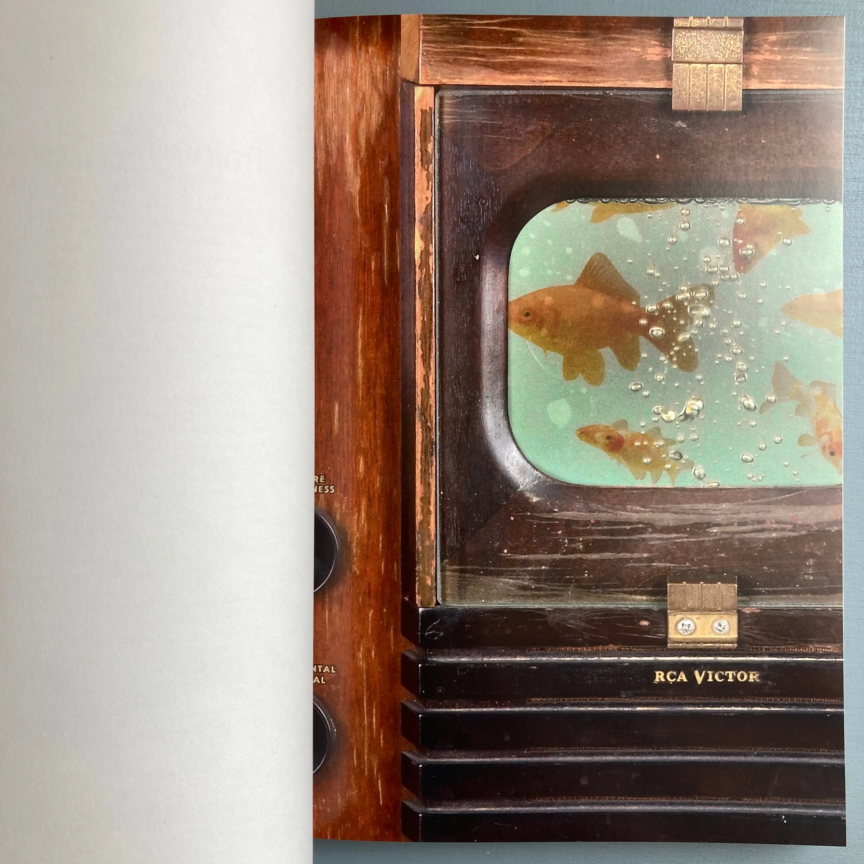 The Animal Within - Exhibition catalogue - mumok 2022 - Image 7
