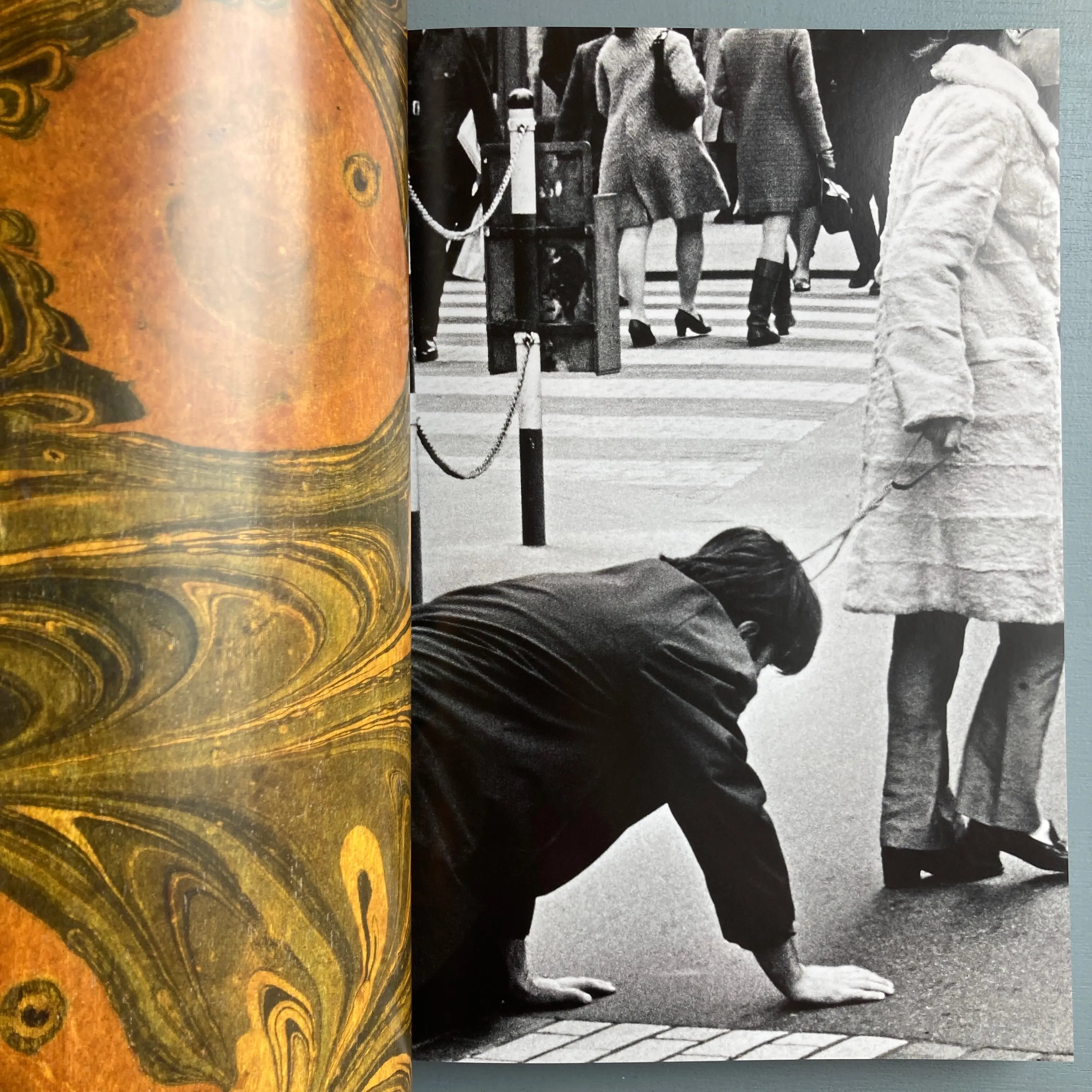 The Animal Within - Exhibition catalogue - mumok 2022 - Image 8