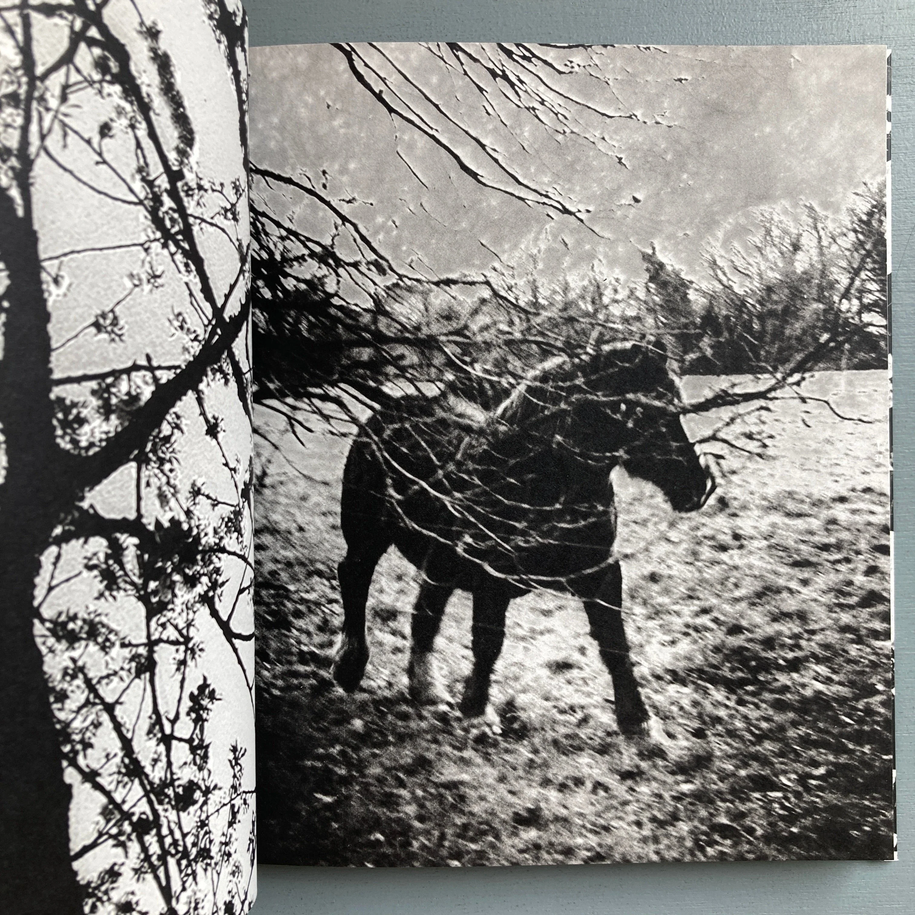 Thierry Valencin - Imago (signed) - Self-published 2022 - Image 3