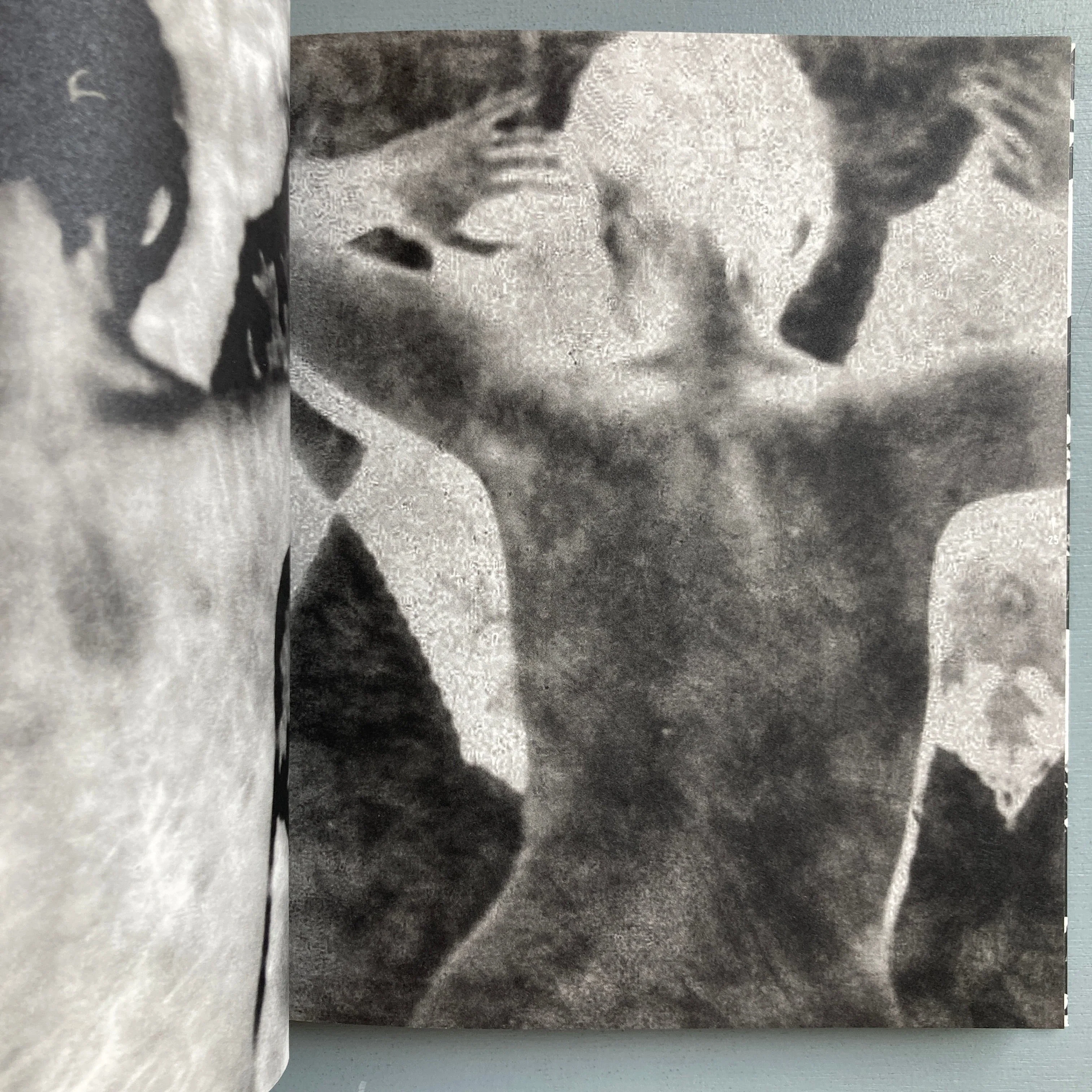Thierry Valencin - Imago (signed) - Self-published 2022 - Image 4