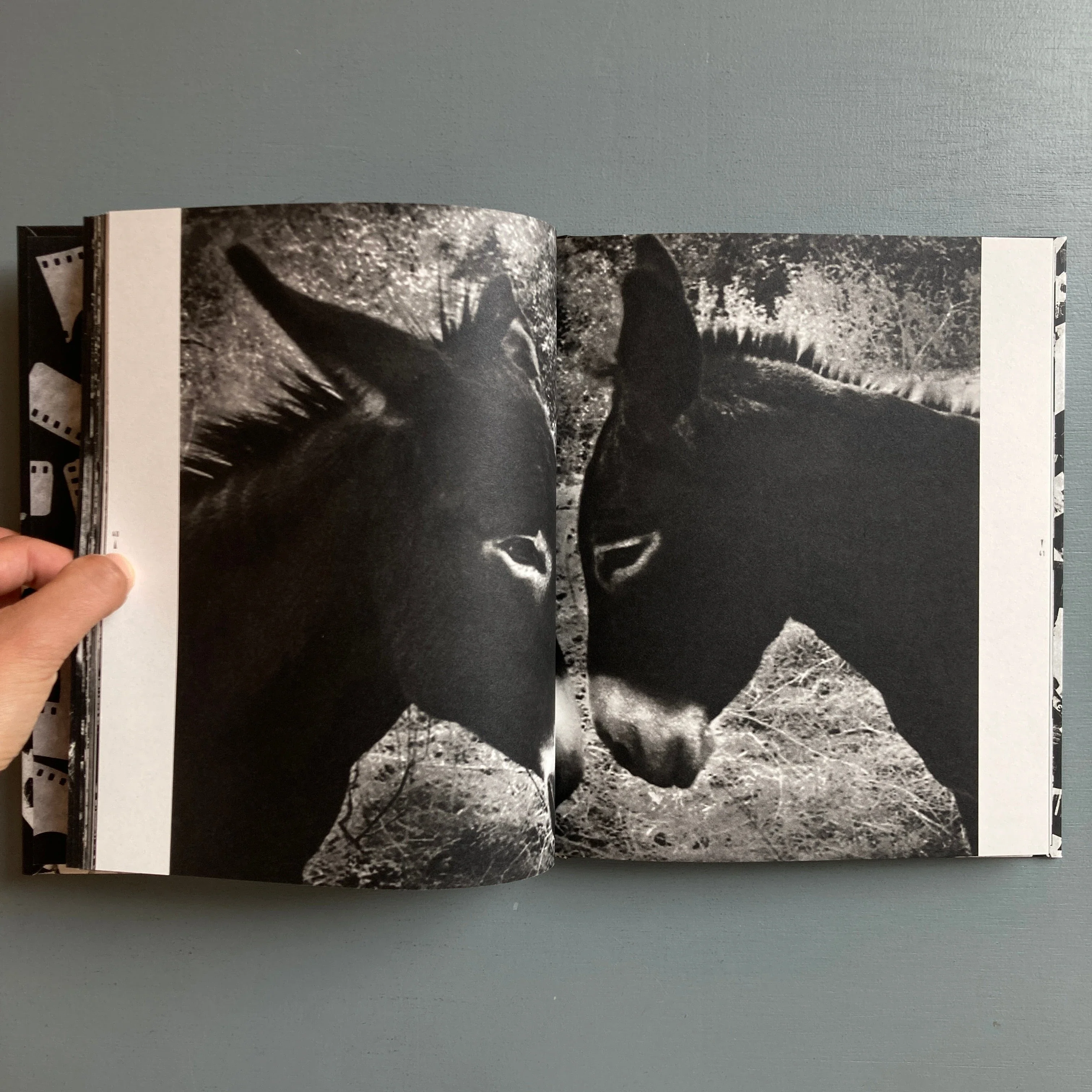 Thierry Valencin - Imago (signed) - Self-published 2022 - Image 5