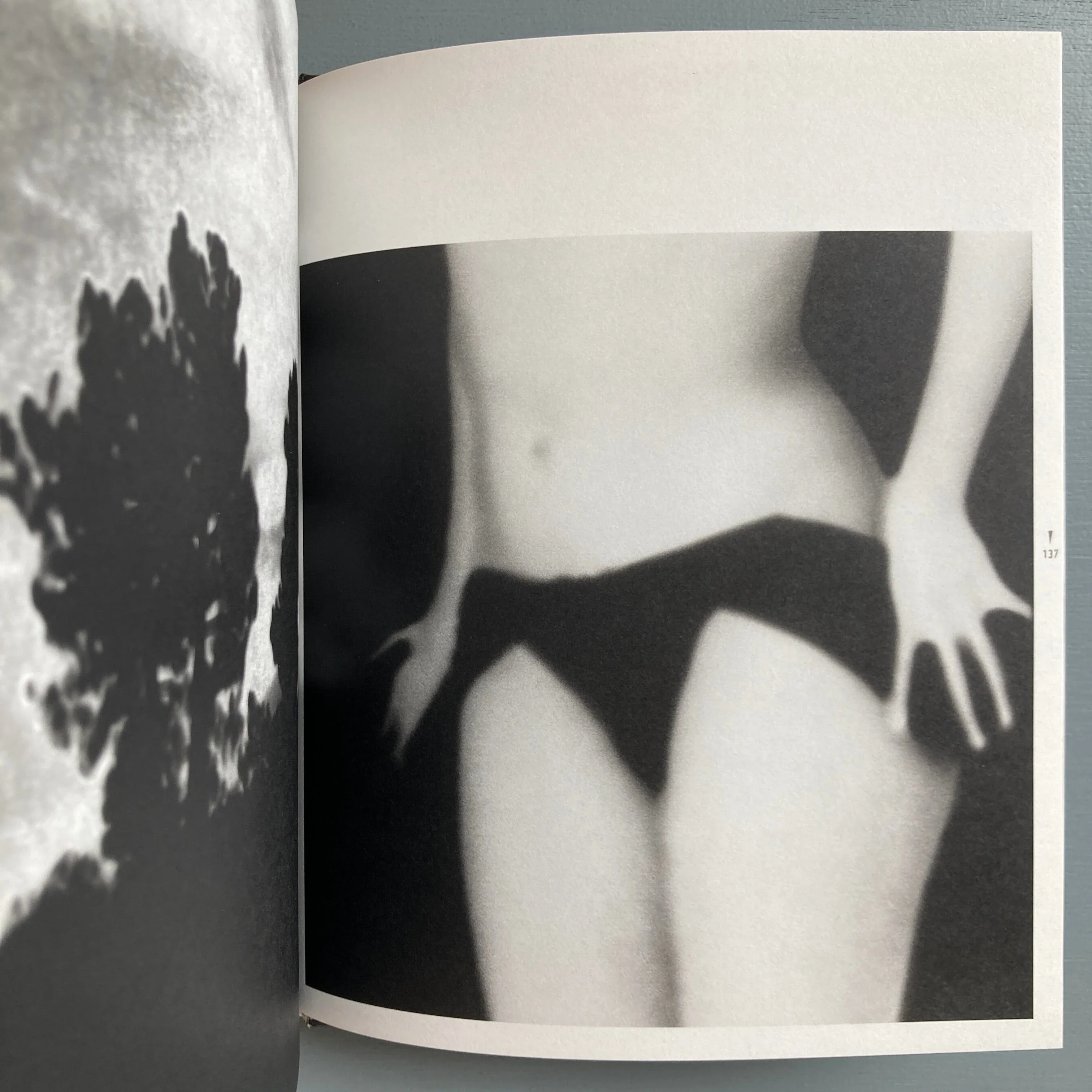 Thierry Valencin - Imago (signed) - Self-published 2022 - Image 6