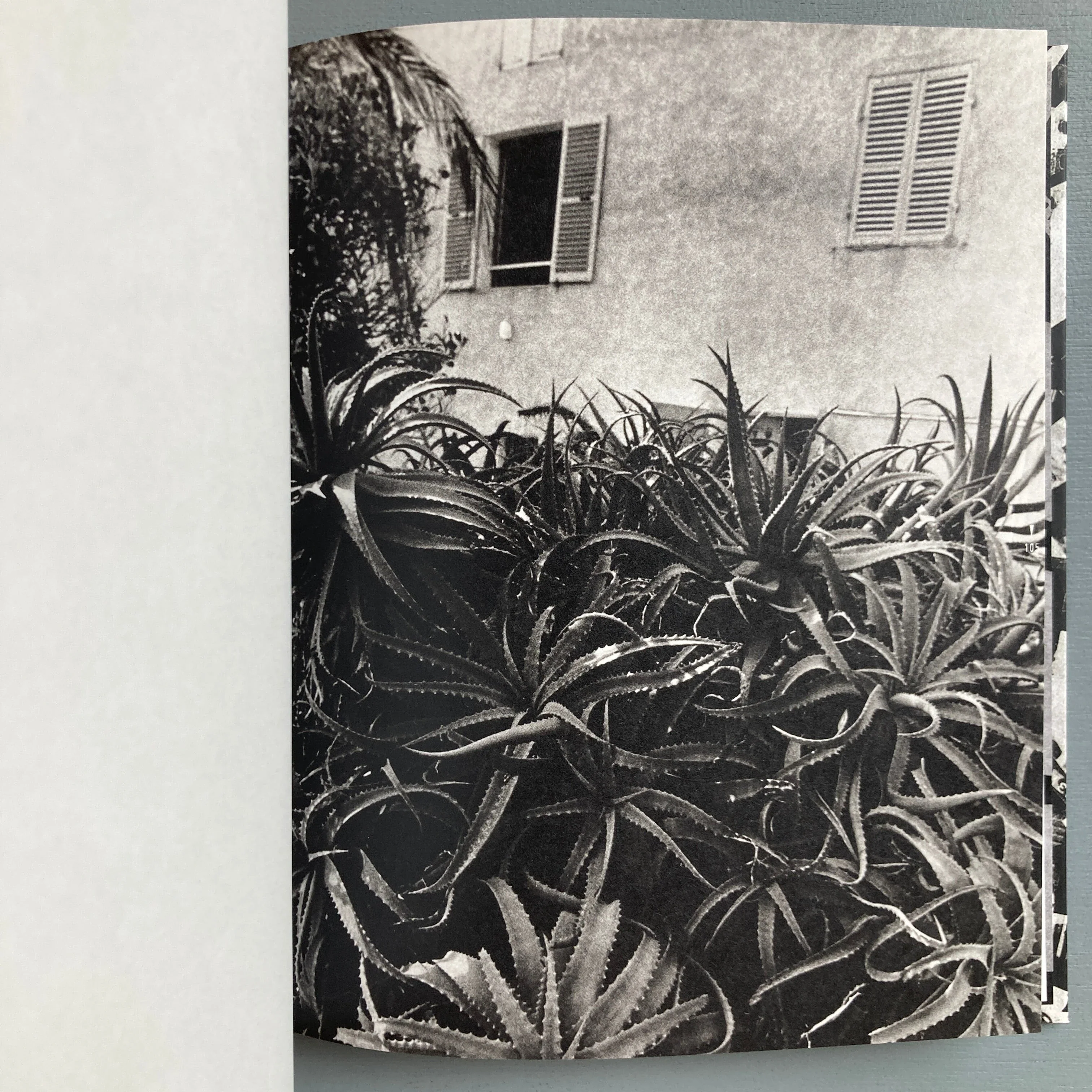 Thierry Valencin - Imago (signed) - Self-published 2022 - Image 7