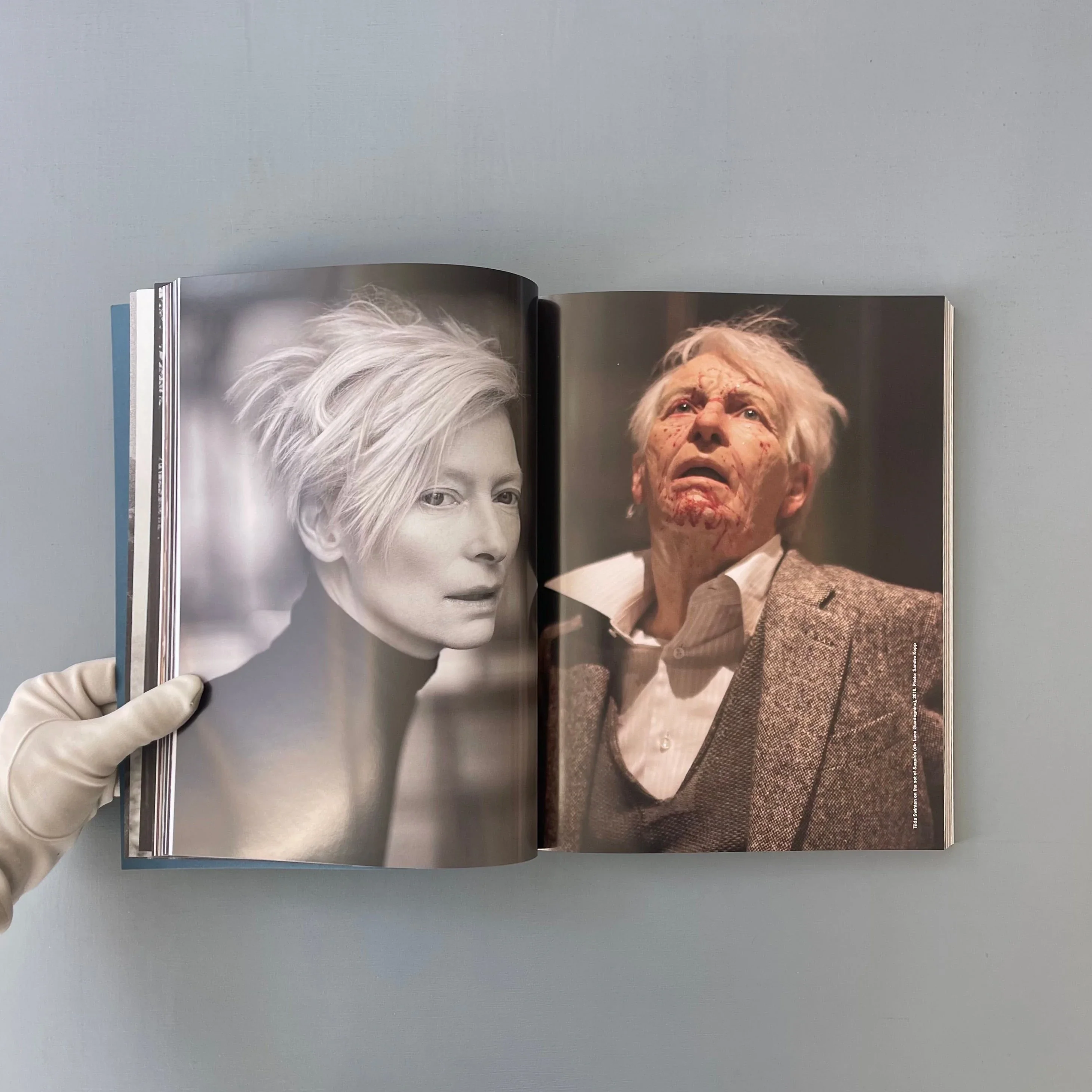 Tilda Swinton - Ongoing - Hannibal 2025 - Image 8
