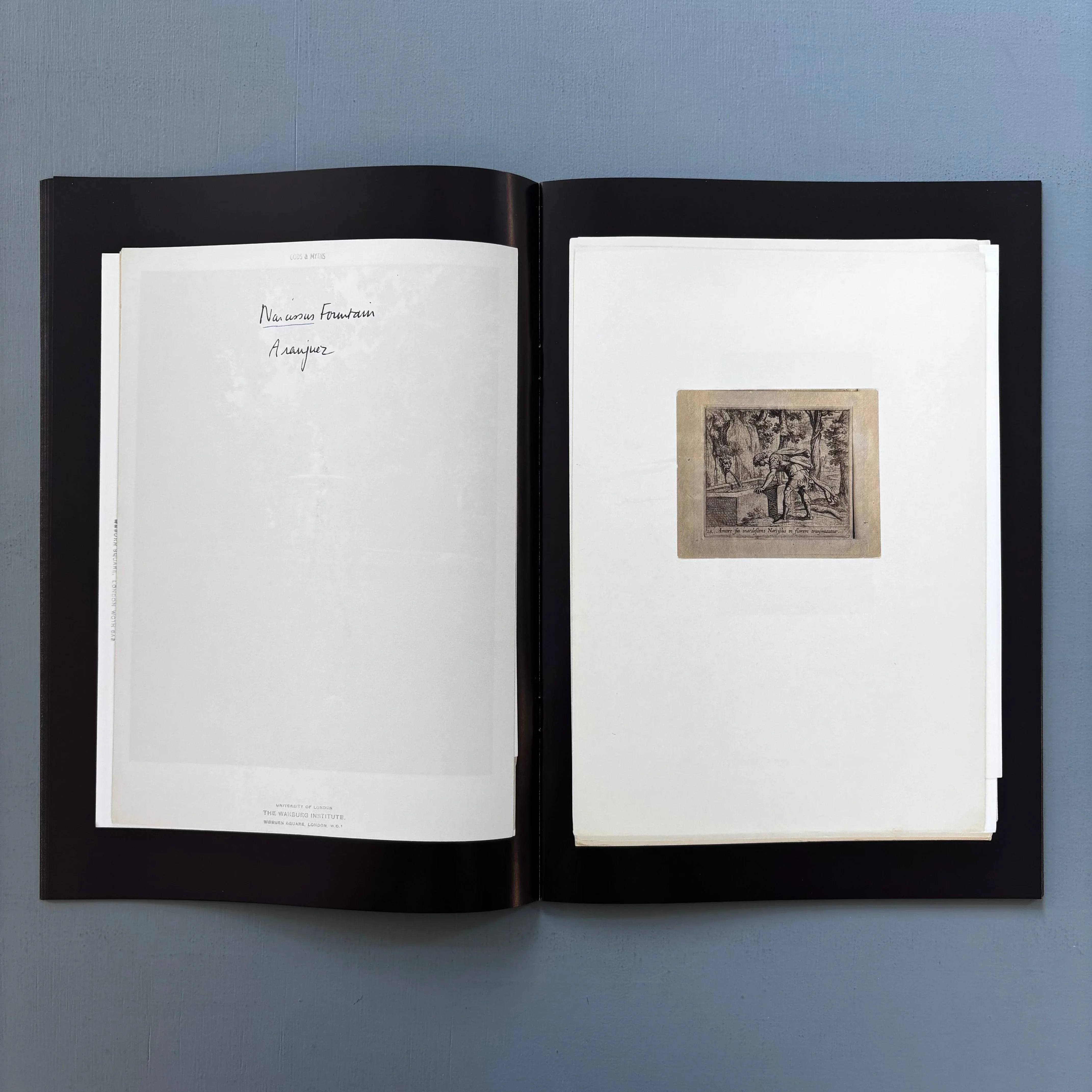 Tim Bruggeman - Narcissus. Gazing into an (artificial) well of fountain - Infinitif 2025 - Image 6
