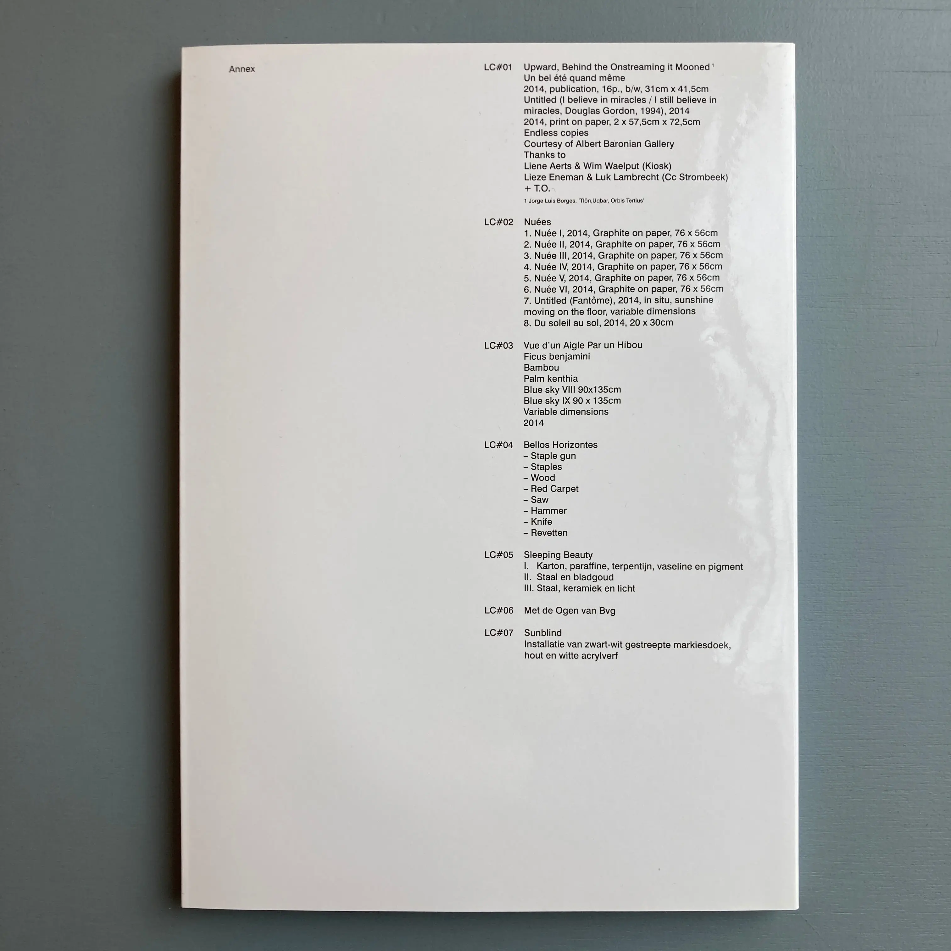 Tim Onderbeke - Dialoog/Dialogue - Le Cabanon 2016 - Image 10