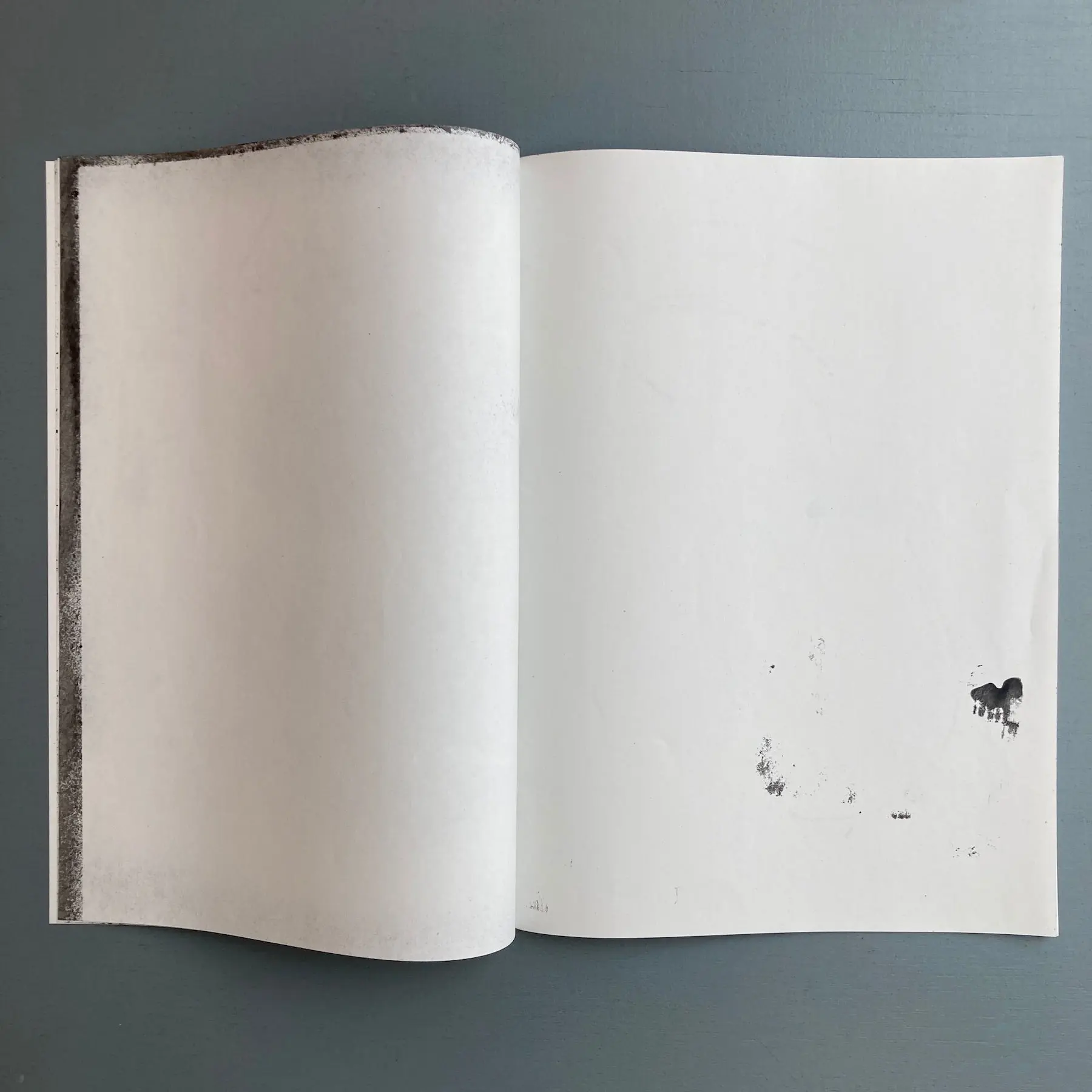 Tim Onderbeke - Untitled #8/15 - Self-published 2014 - Image 5