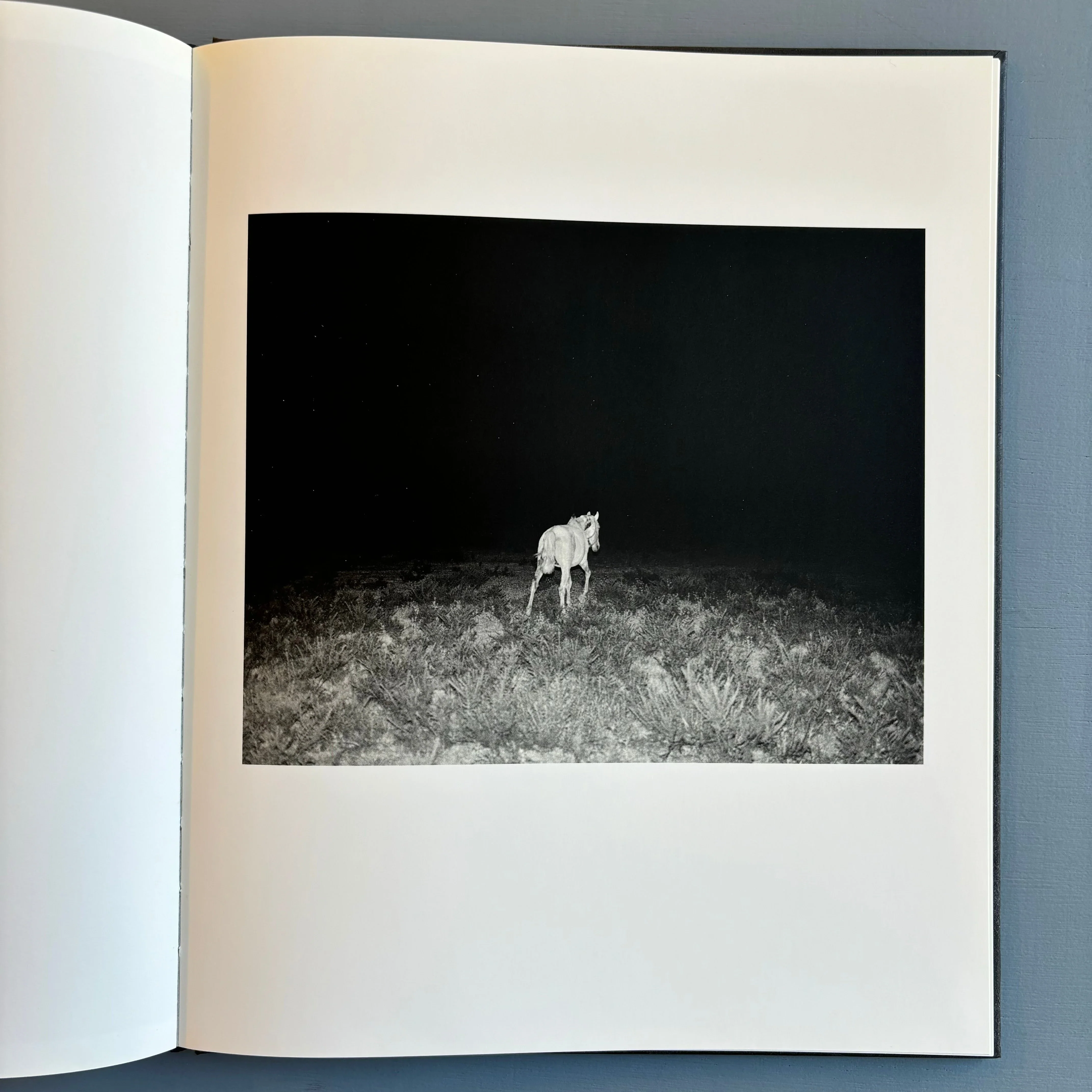 Tito Mouraz - The House of the Seven Women - Dewi Lewis Publishing 2016 - Image 10