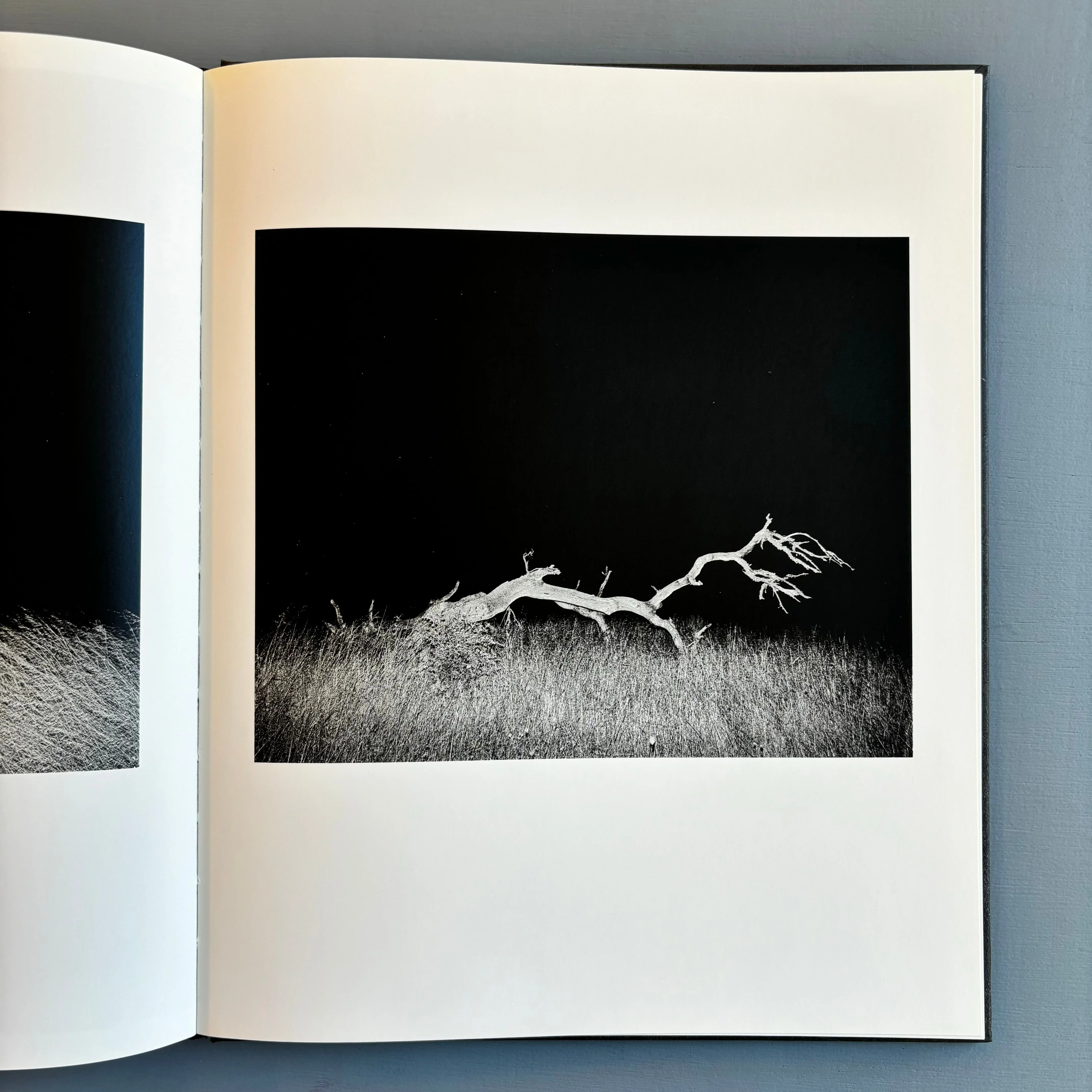 Tito Mouraz - The House of the Seven Women - Dewi Lewis Publishing 2016 - Image 11