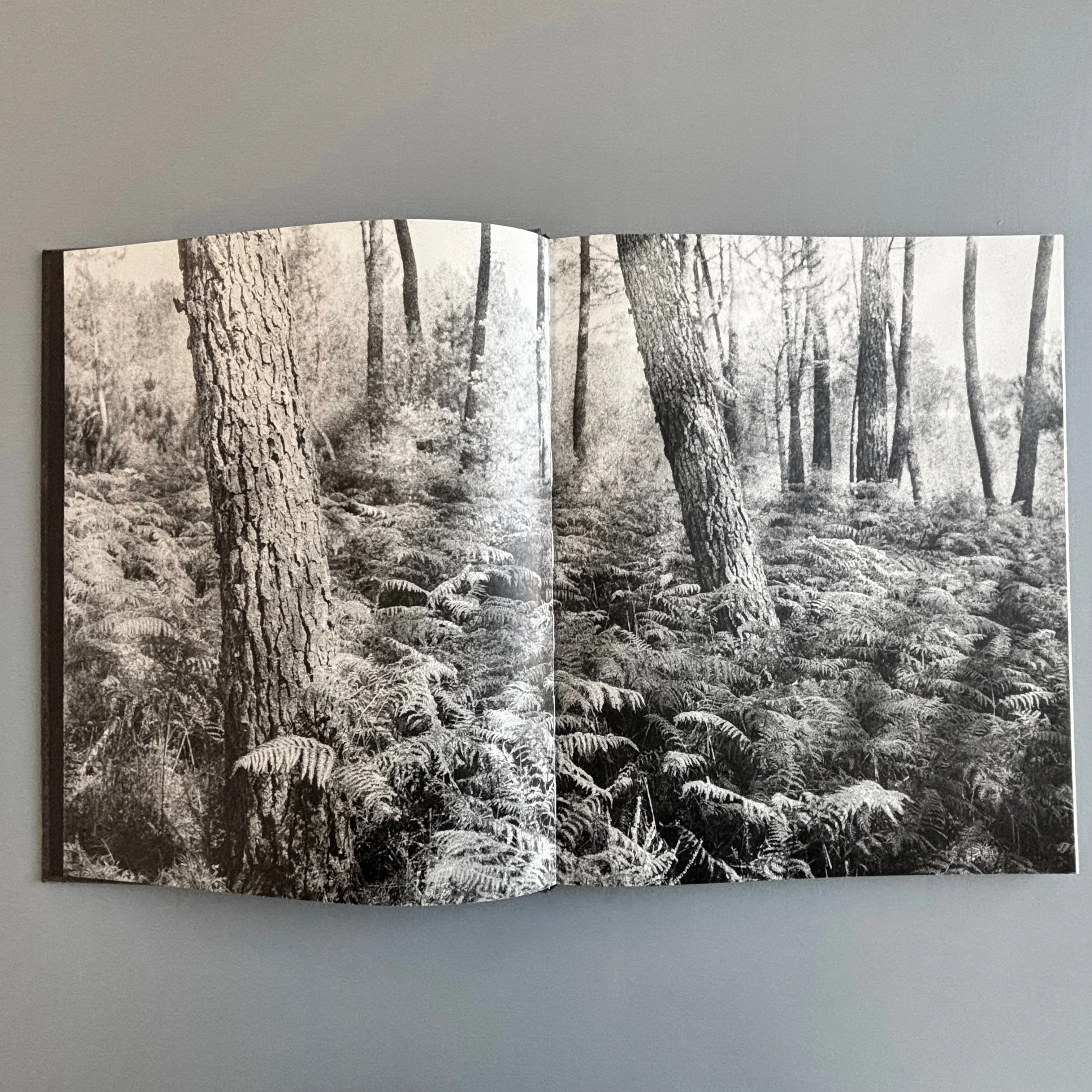 Tito Mouraz - The House of the Seven Women - Dewi Lewis Publishing 2016 - Image 3