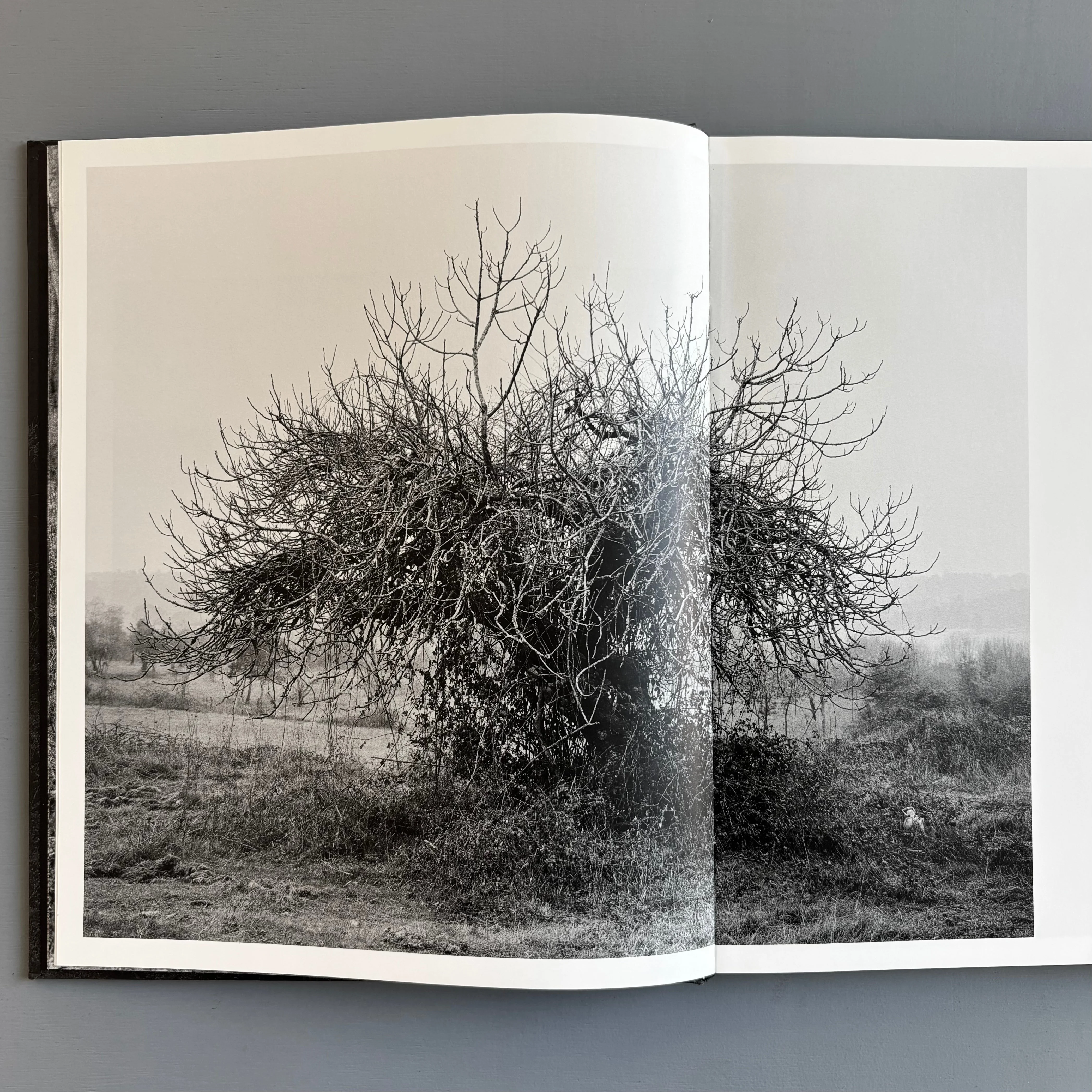 Tito Mouraz - The House of the Seven Women - Dewi Lewis Publishing 2016 - Image 4