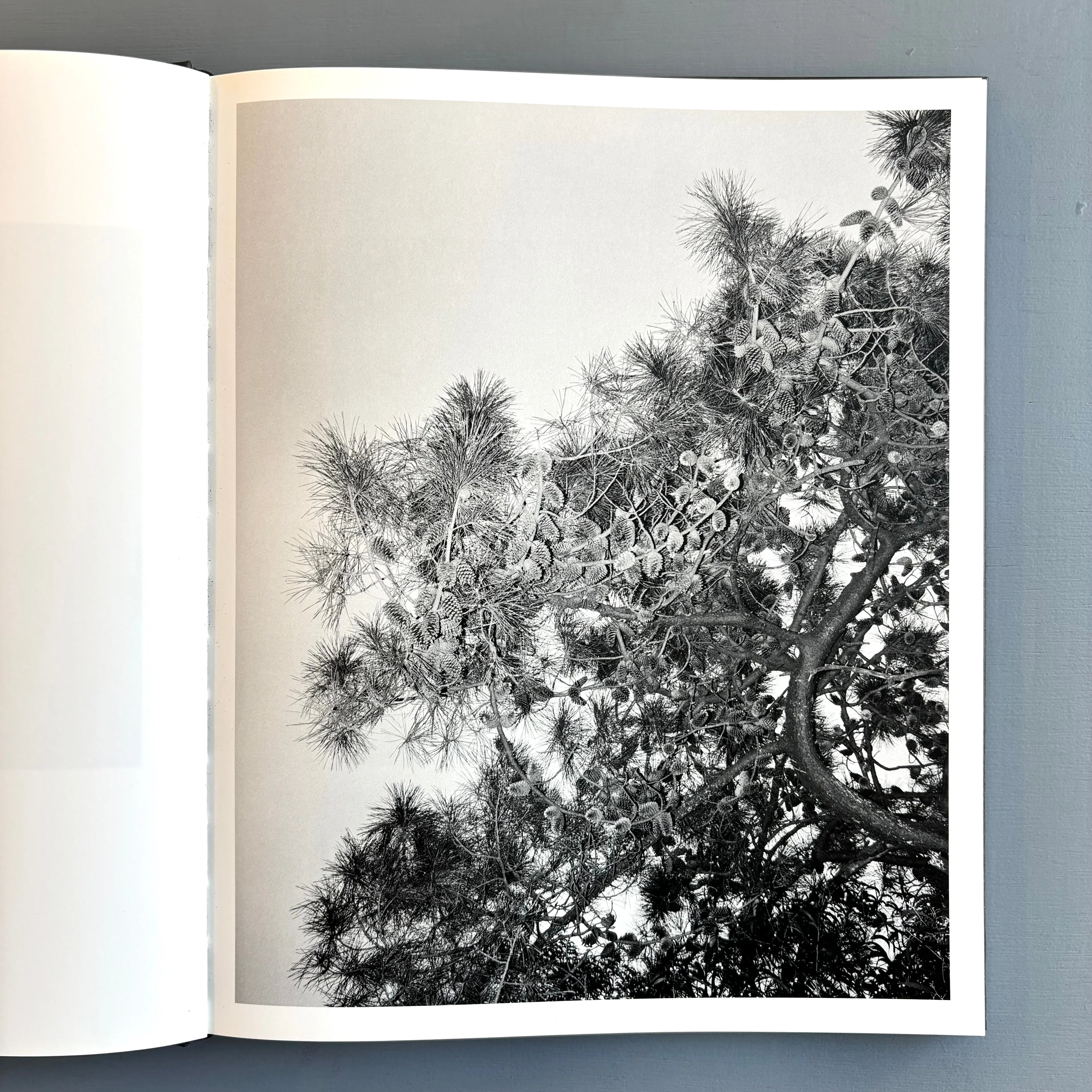 Tito Mouraz - The House of the Seven Women - Dewi Lewis Publishing 2016 - Image 5