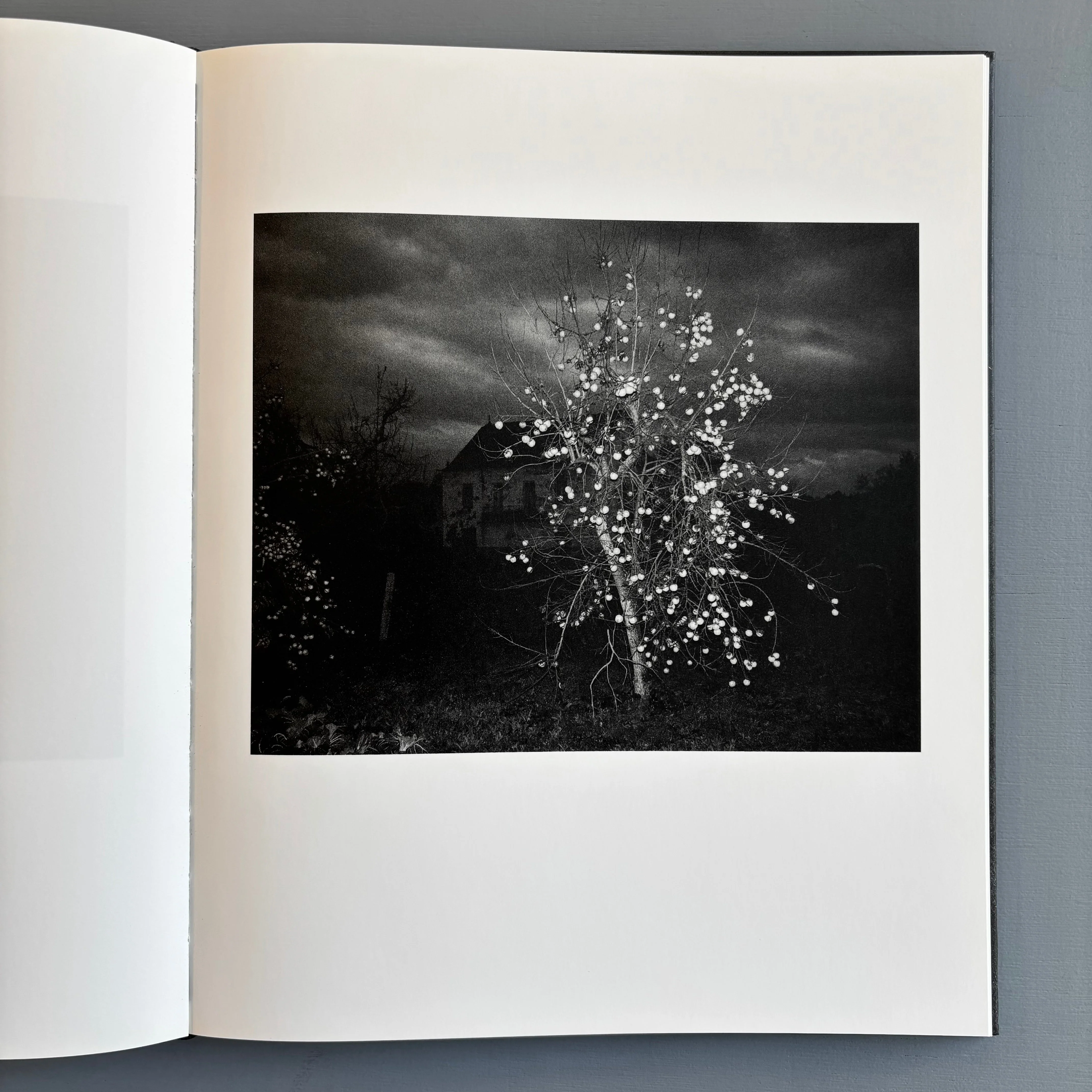 Tito Mouraz - The House of the Seven Women - Dewi Lewis Publishing 2016 - Image 7